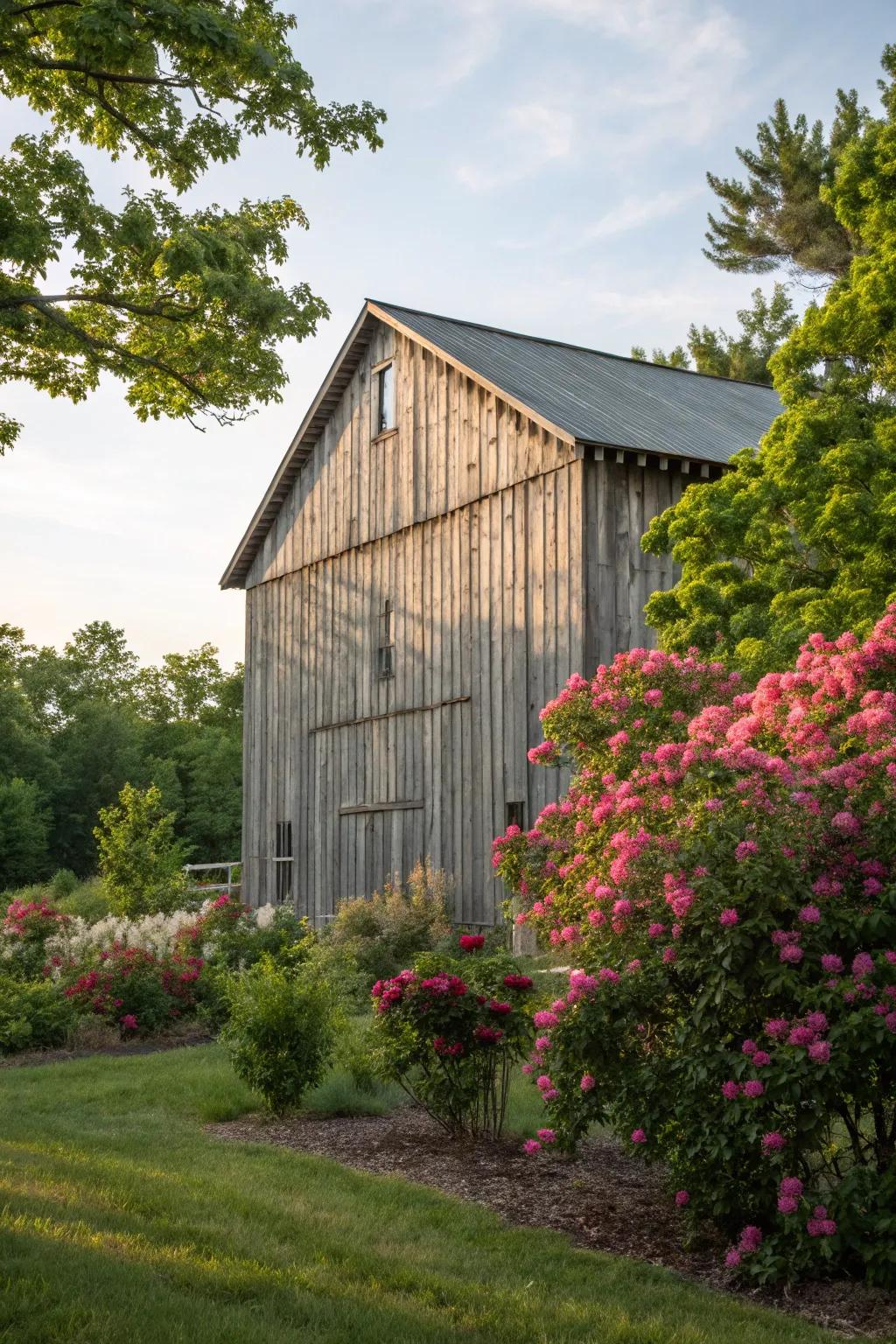 A barn featuring classic board and batten siding amidst a verdant landscape.
