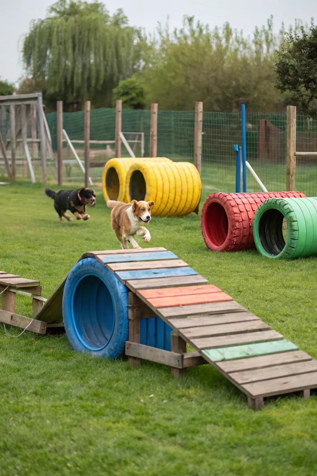 An engaging DIY agility course using budget-friendly materials.