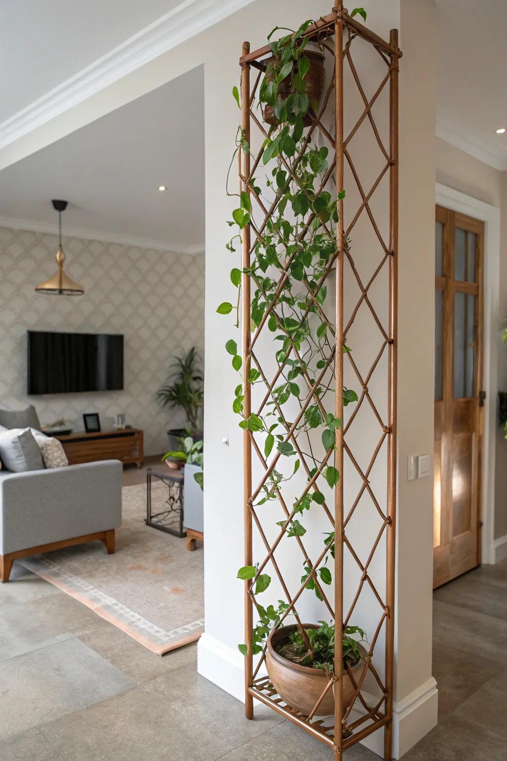 A modern living room with a Hoya plant climbing a copper trellis, adding a touch of elegance.