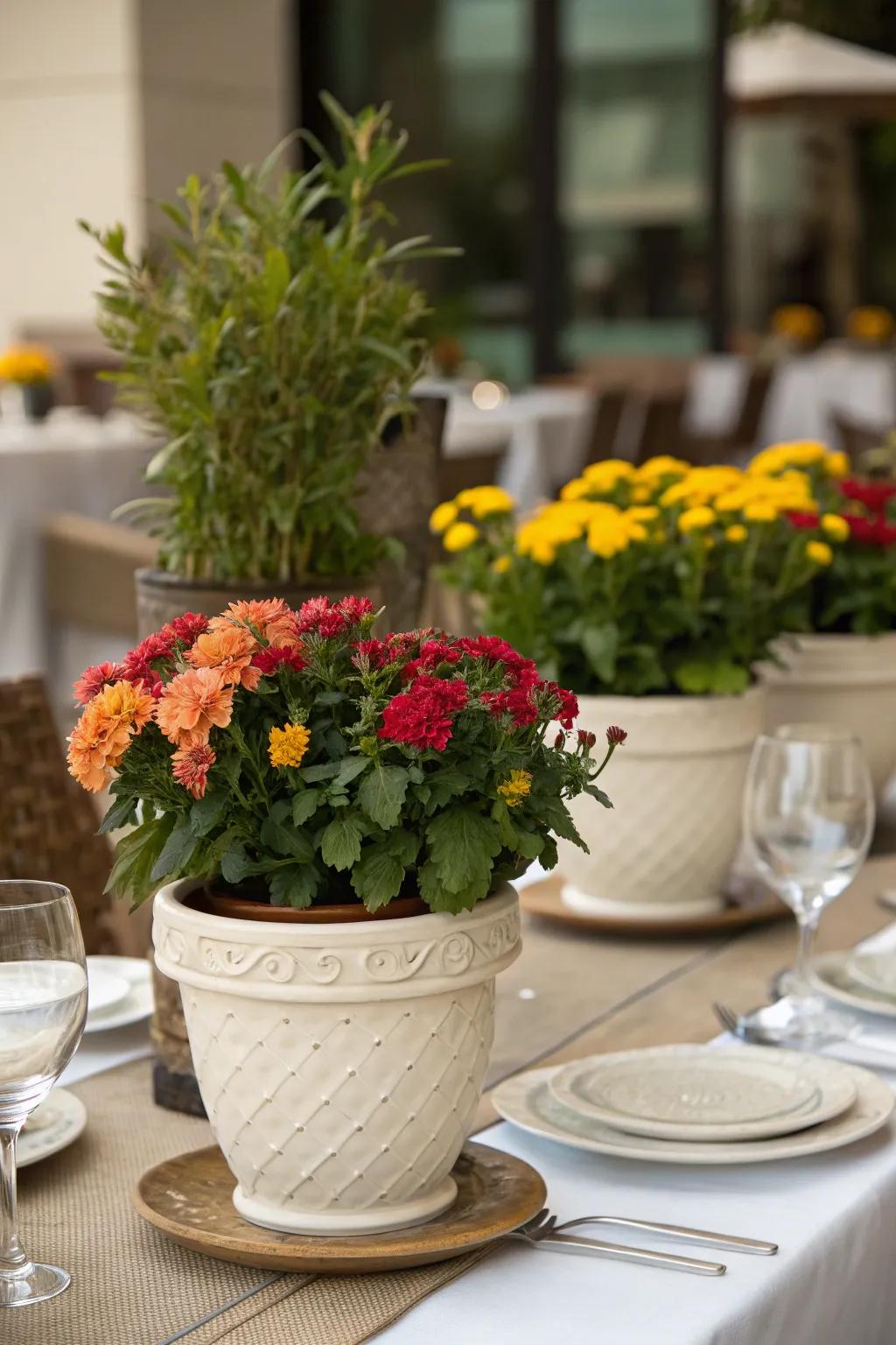 A vibrant centerpiece featuring colorful flowering plants.