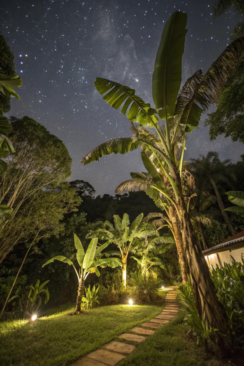 Transform your garden into a magical nightscape with illuminated banana trees.