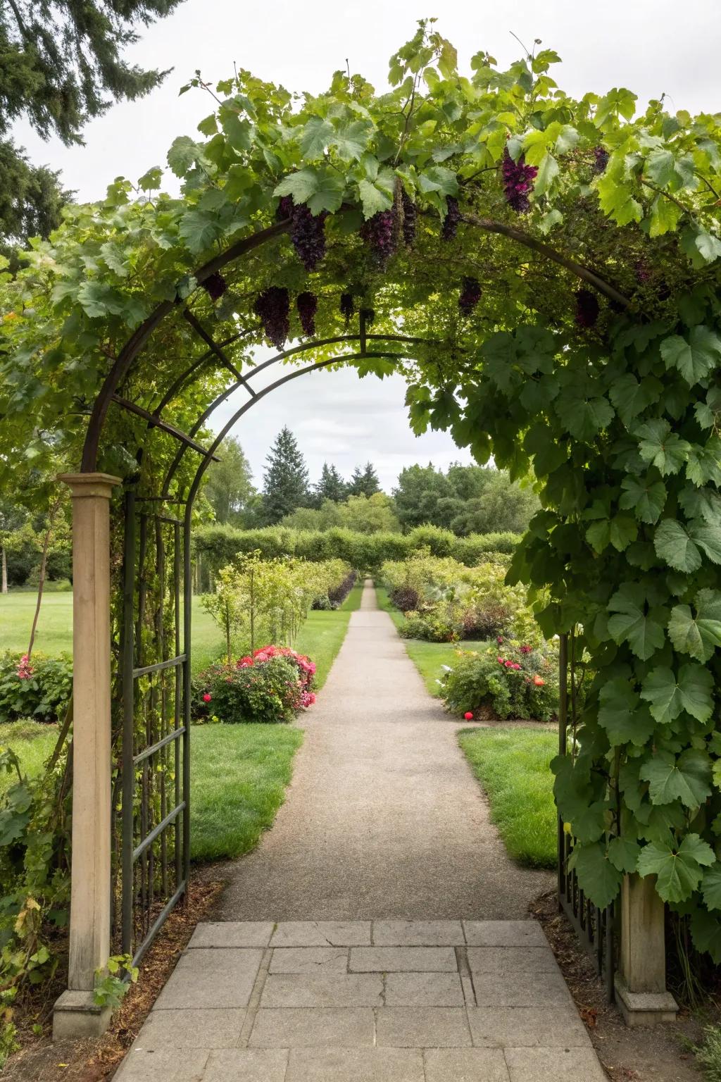 Welcome guests with a stunning grapevine archway.