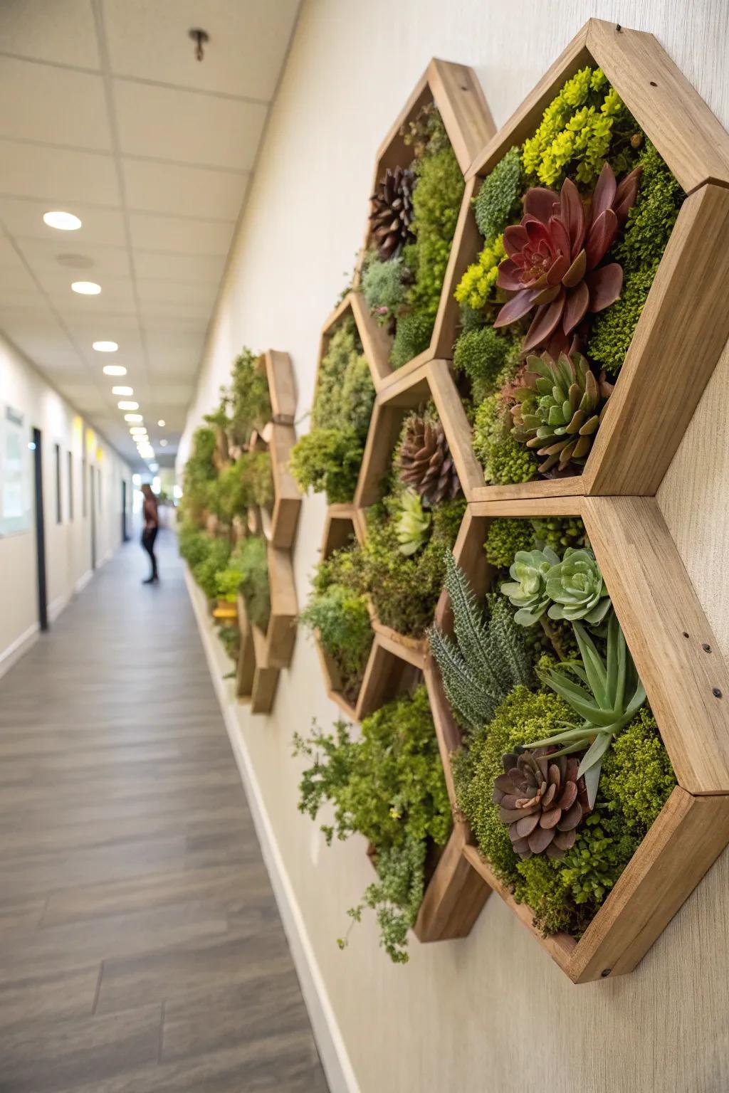 Create an indoor garden with honeycomb wall planters.