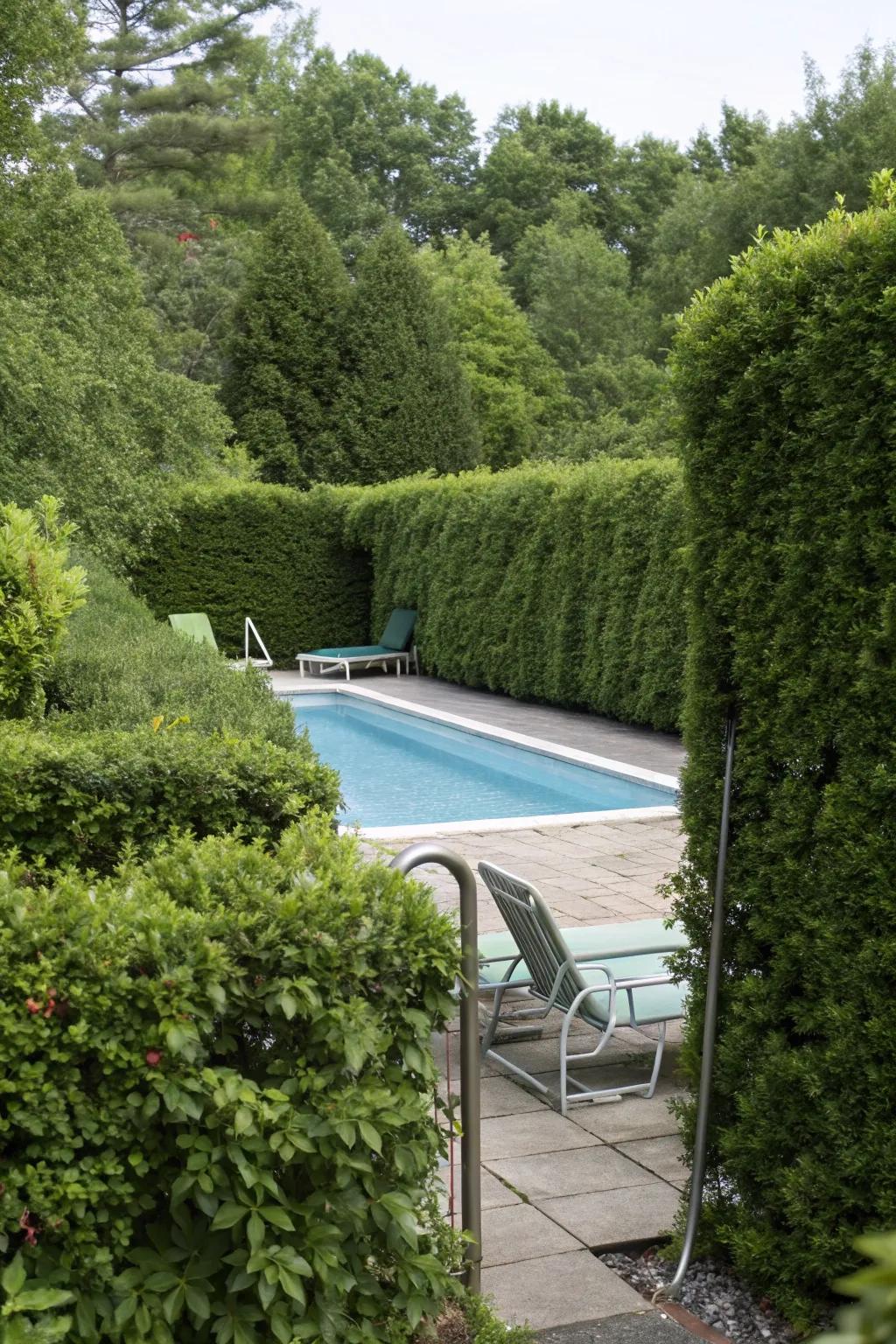 Hedges and bushes offer year-round coverage and privacy for pool equipment.