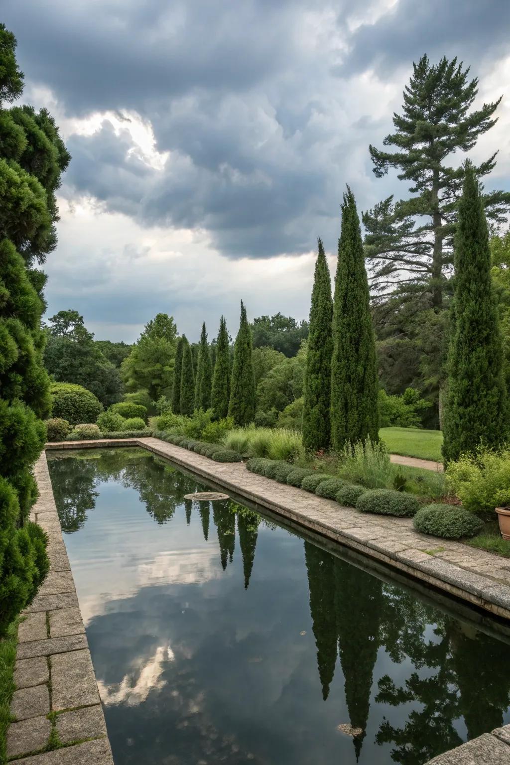 Enhance water features with Leyland cypress for a serene garden.