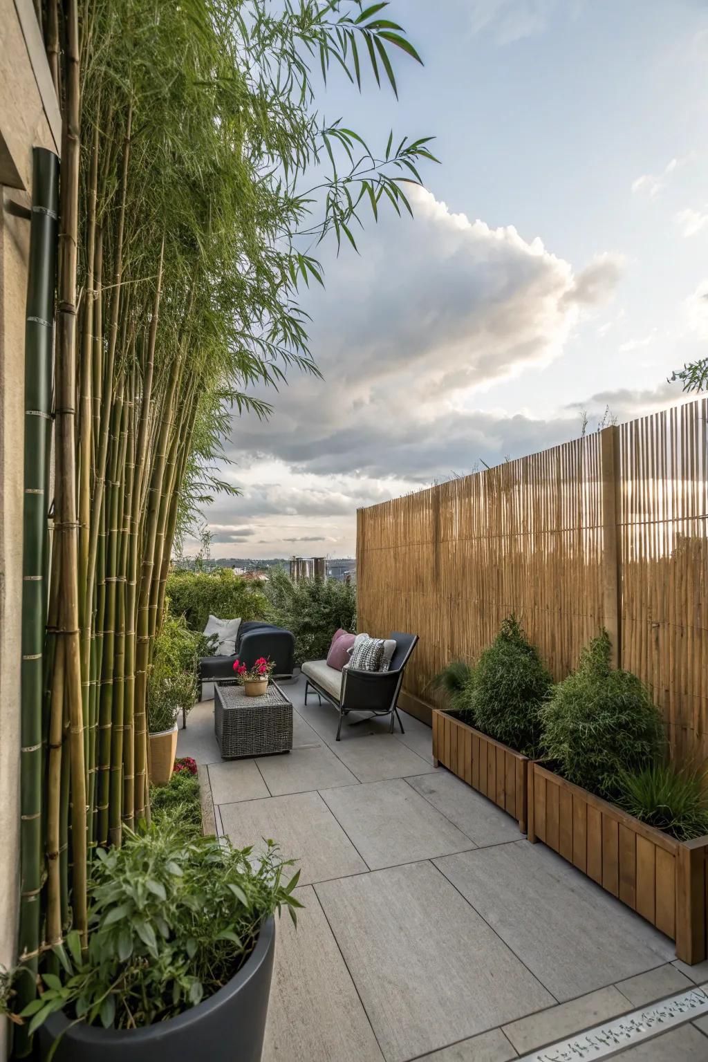 Transport yourself with bamboo fencing.