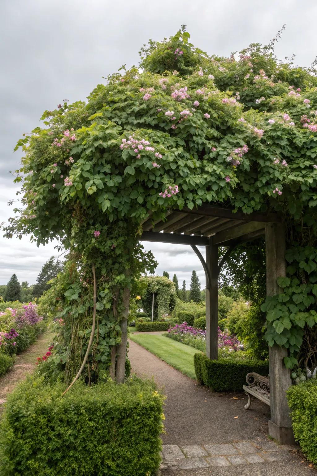 A clematis-covered arbor creates a cool, inviting oasis.