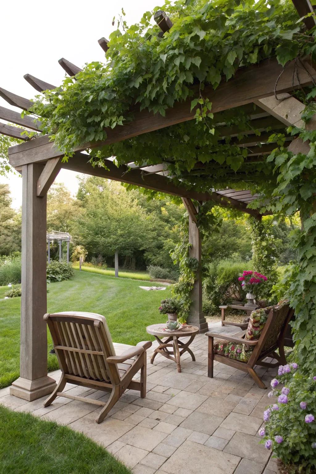 A pergola provides shade and charm.