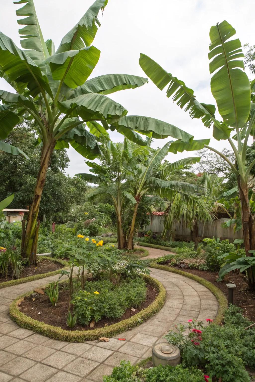 Explore sustainability with a banana circle design.