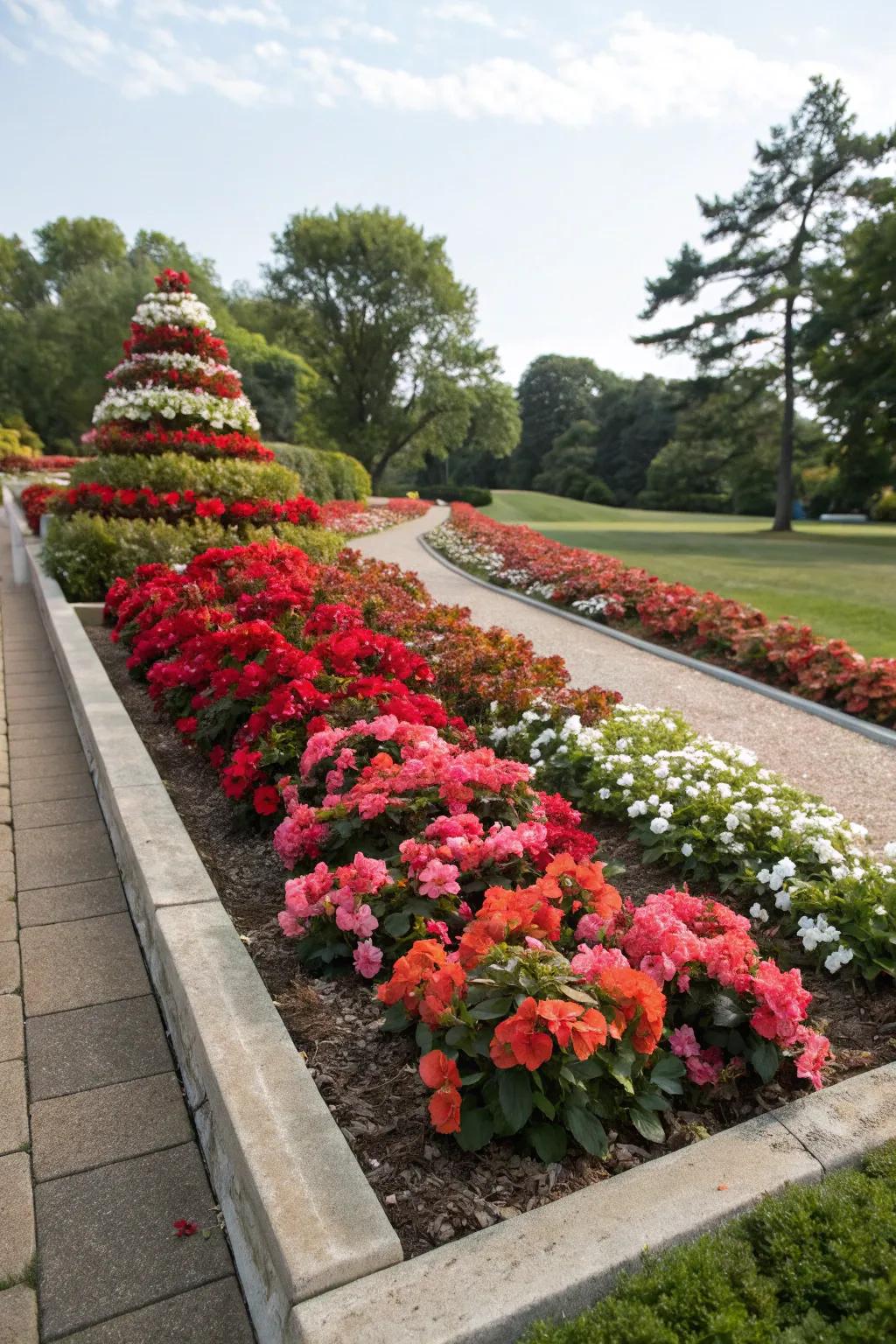 Layered begonia planting adds depth and color to garden beds.