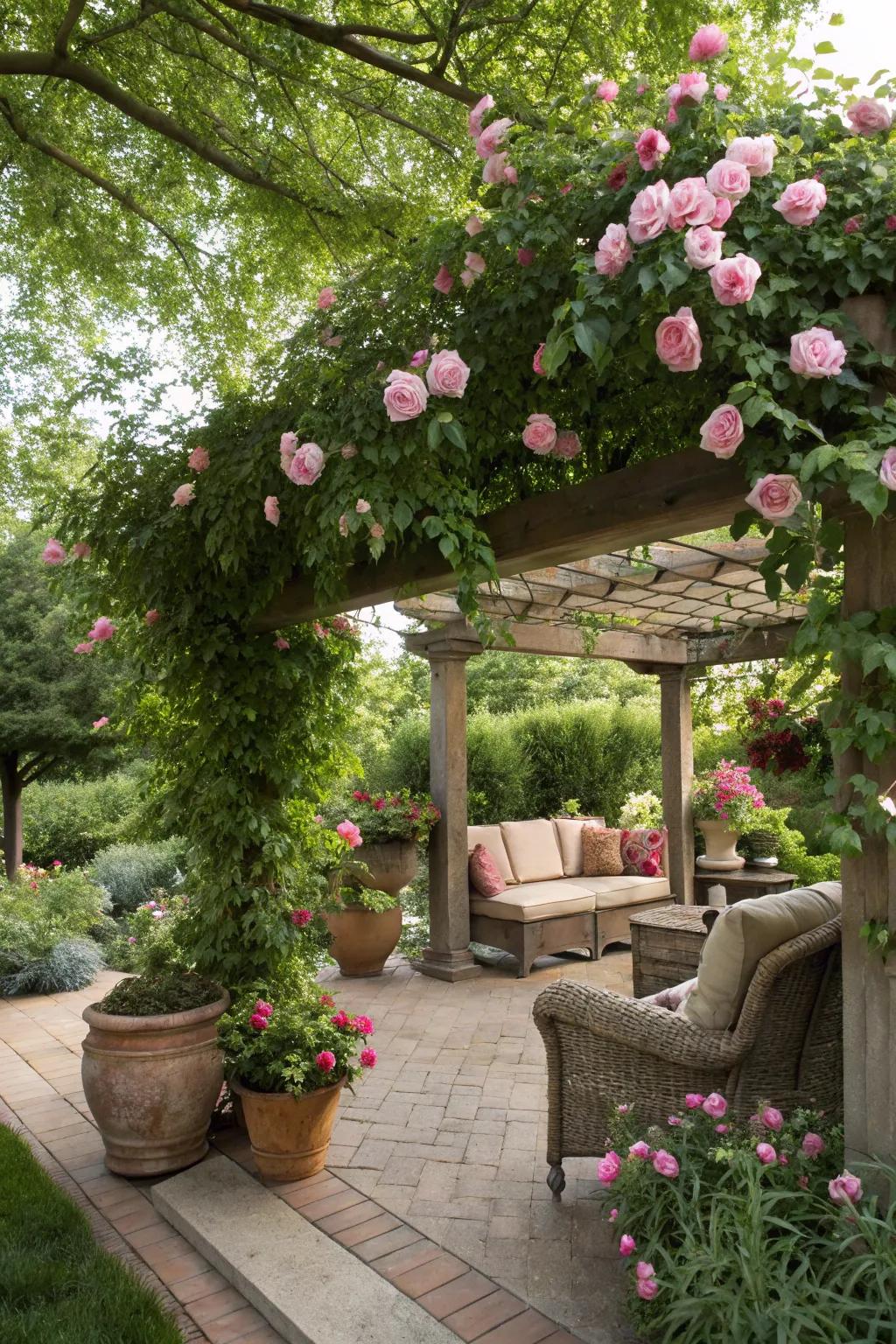 A charming pergola adds structure and beauty to the garden.