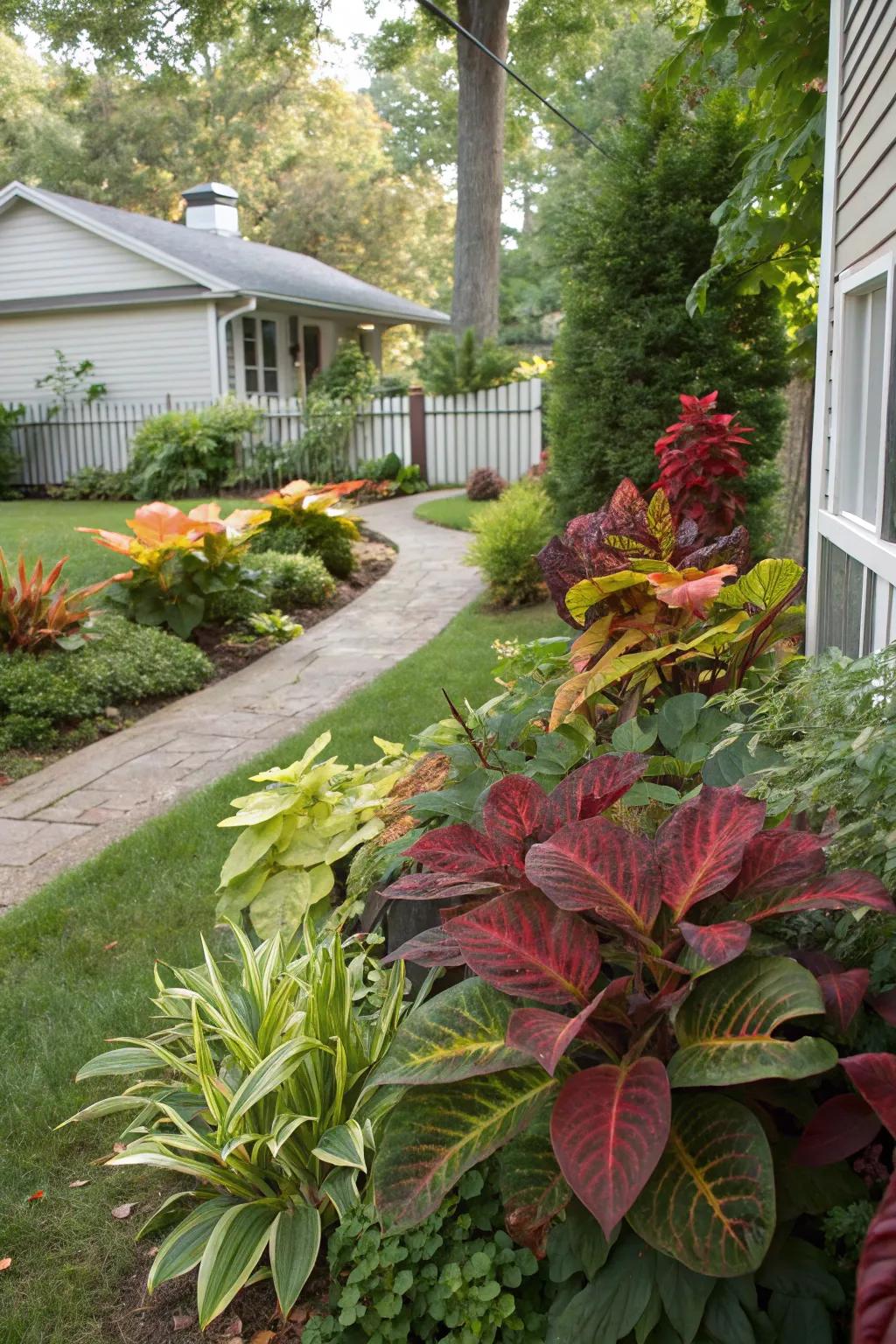 Bold foliage creates statement pieces in the garden