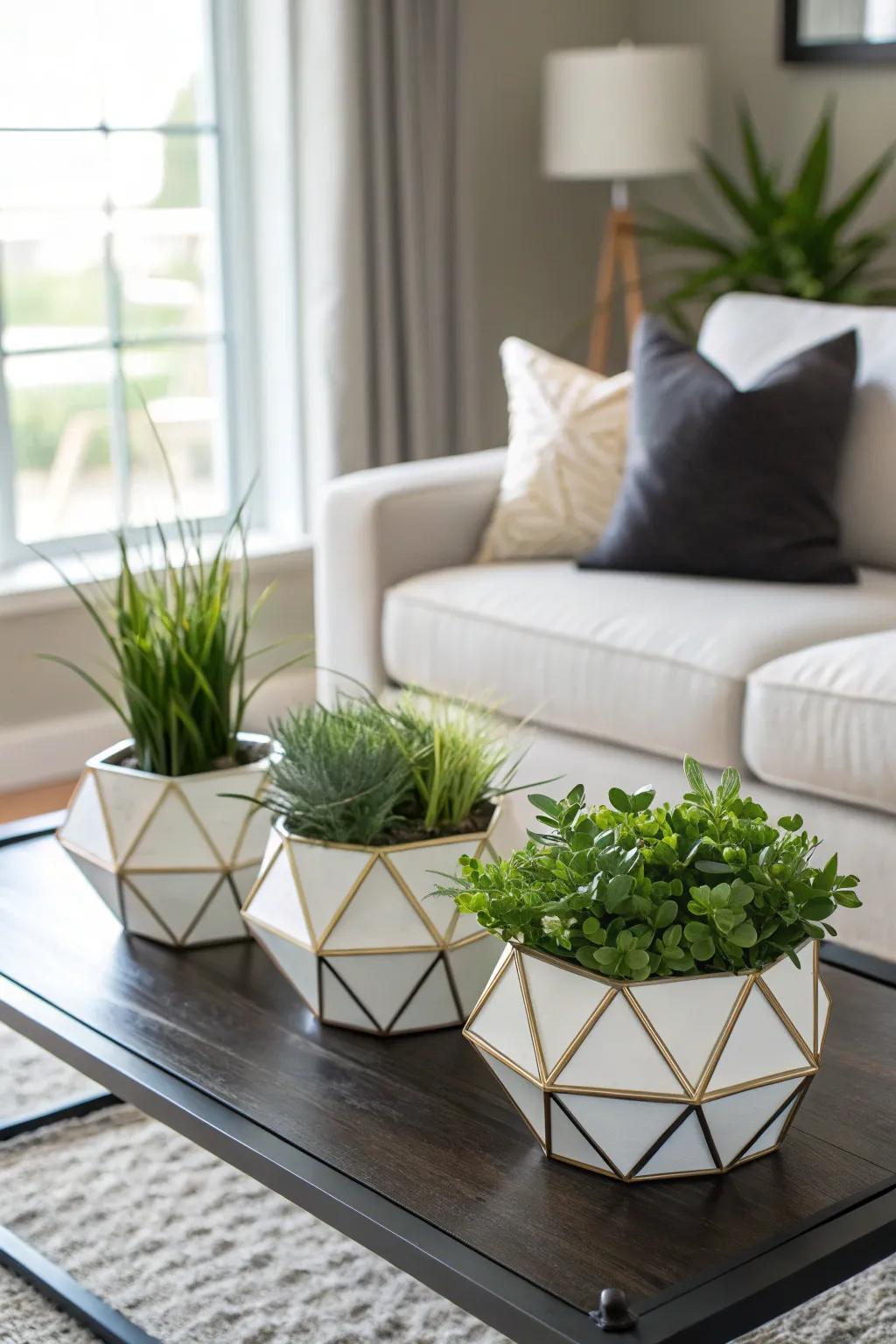 Geometric planters add a modern edge to plant displays.