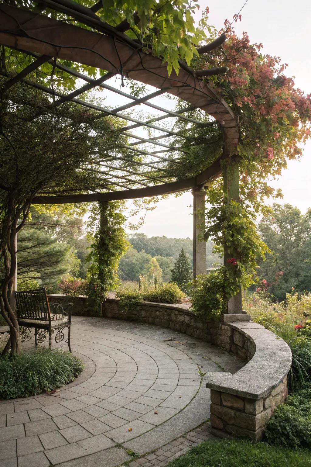 A trellis canopy offers shade and a place for climbing plants.