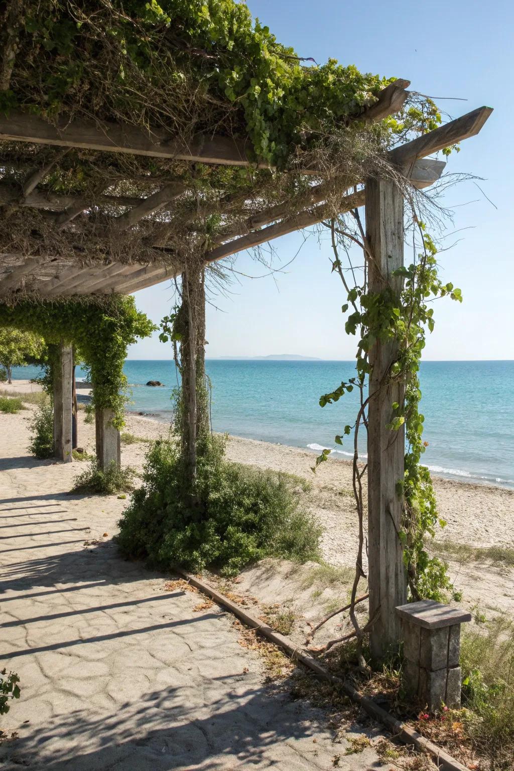 A stylish pergola offering shade and a spot to relax.