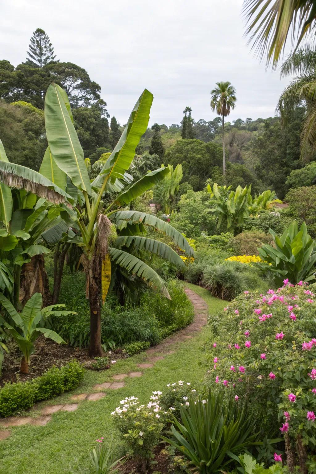 Invite wildlife into your garden with banana trees and nectar-rich plants.