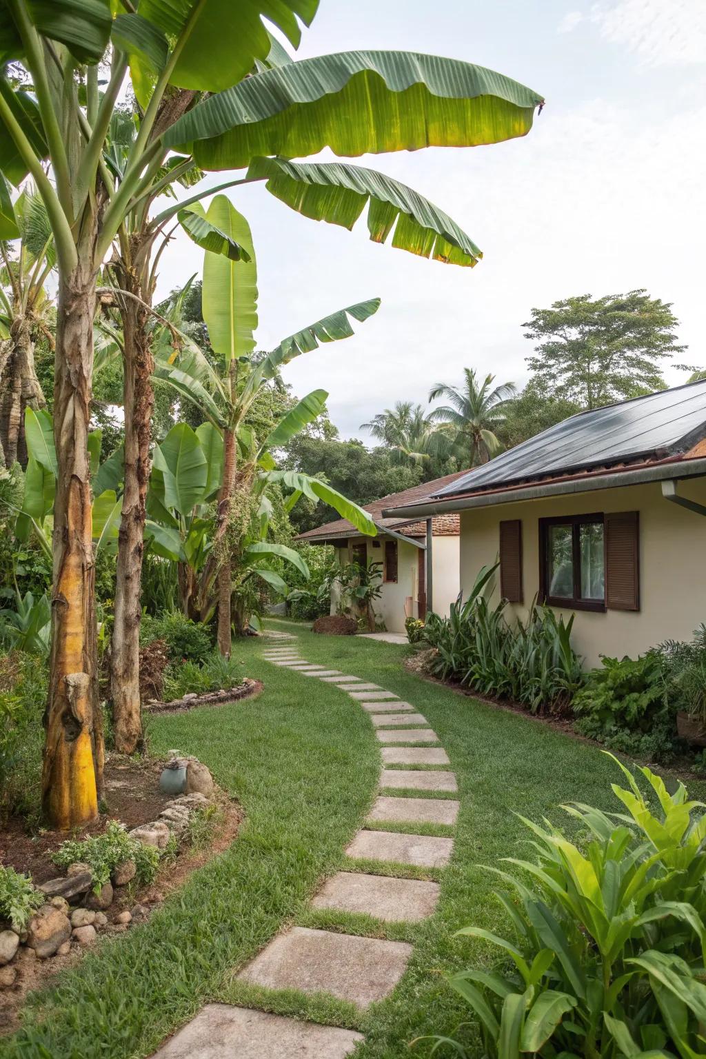 Enjoy natural cooling with eco-friendly shade from banana trees.