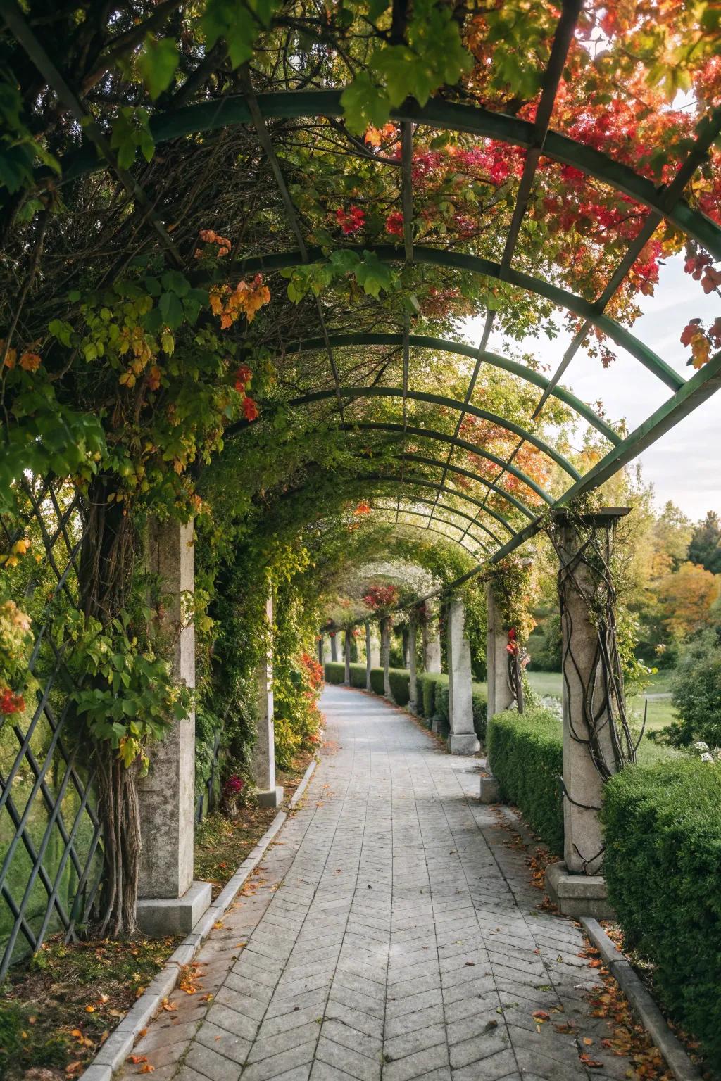 An enchanting walkway framed by a trellis with climbing greenery.