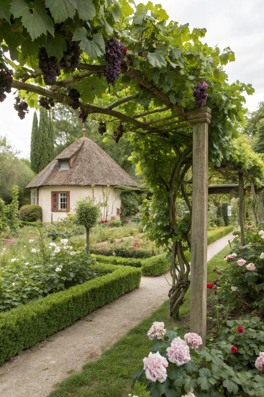 Cottage-style trellises evoke a timeless, vintage charm.