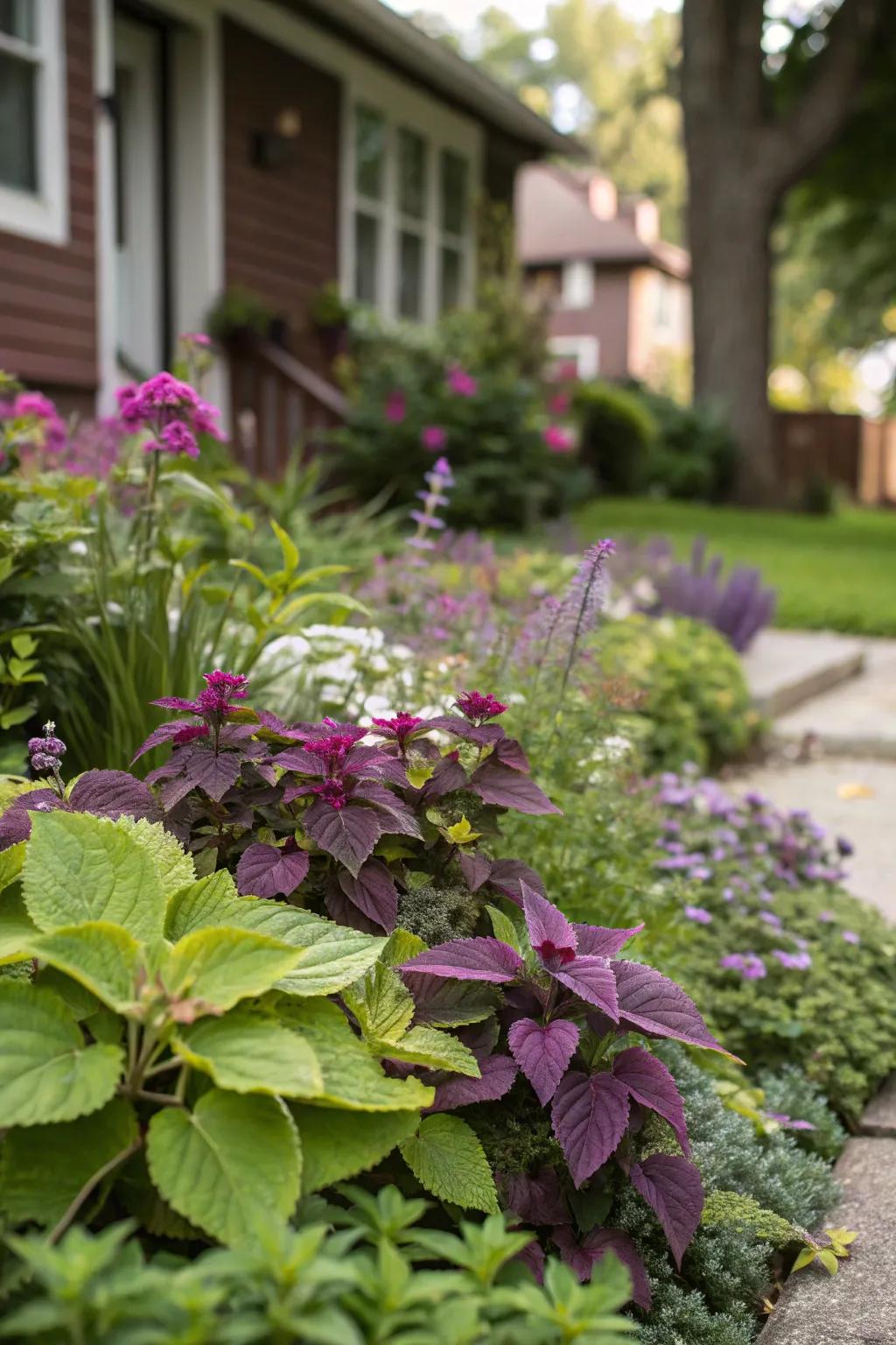 Contrasting colors bring vibrancy to any garden.