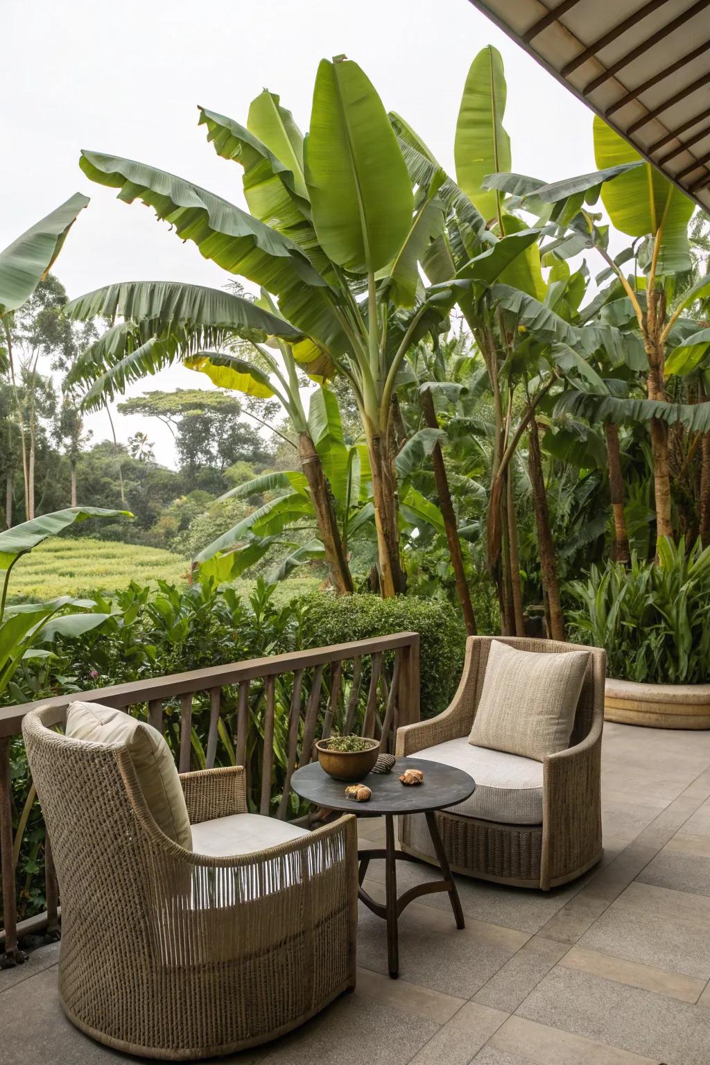 Host gatherings in a tropical entertainment area with banana trees.