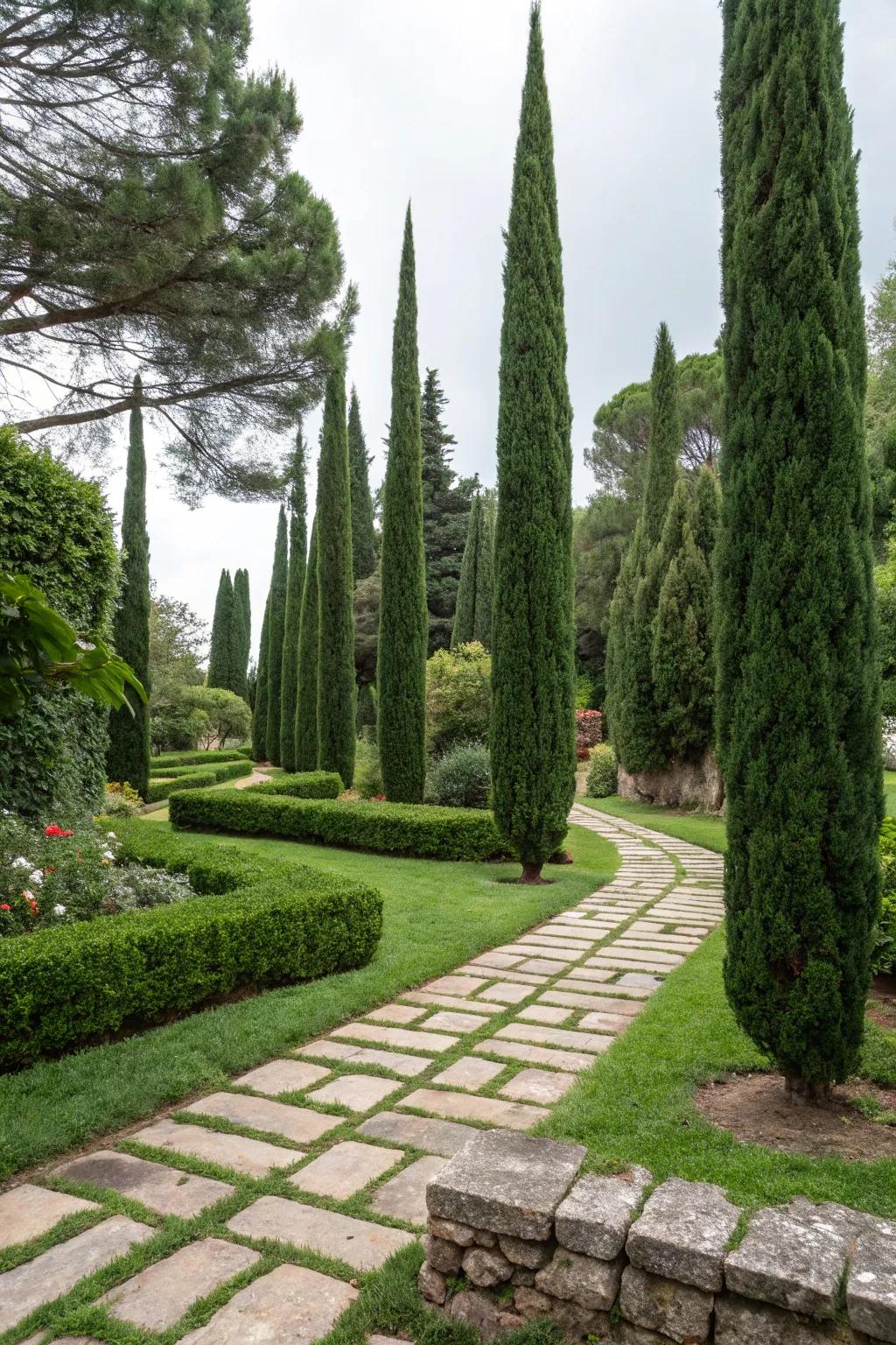 Achieve balance in your garden with Leyland cypress and hardscape elements.