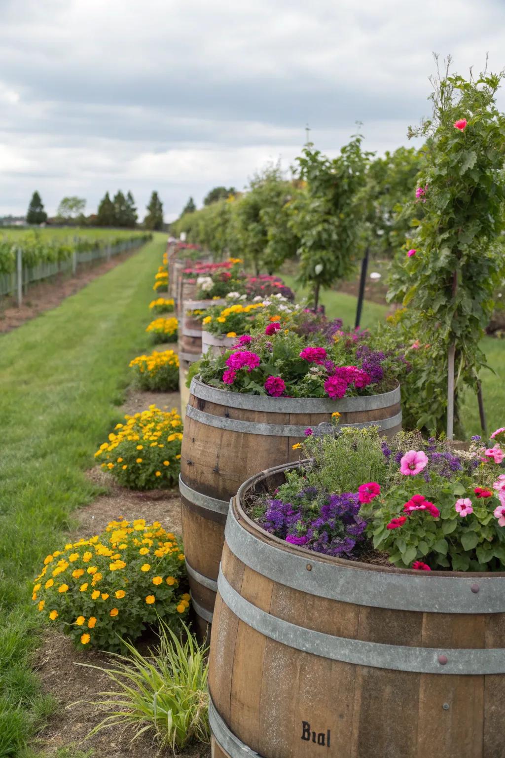 Eco-friendly and stylish planters made from recycled wine barrels.