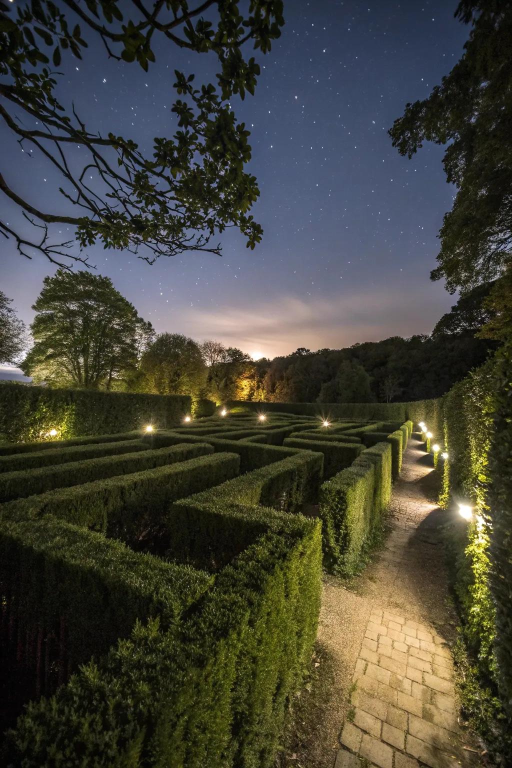 A mystical light maze creating a magical nighttime glow.