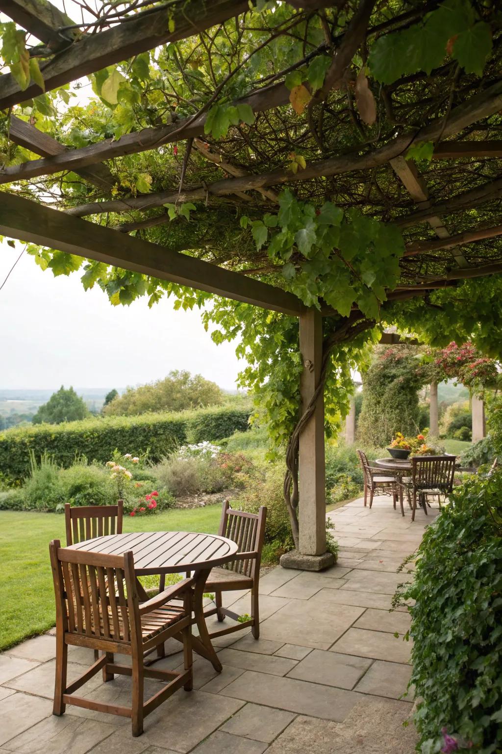 Bring nature to your patio with a pergola and climbing vines.