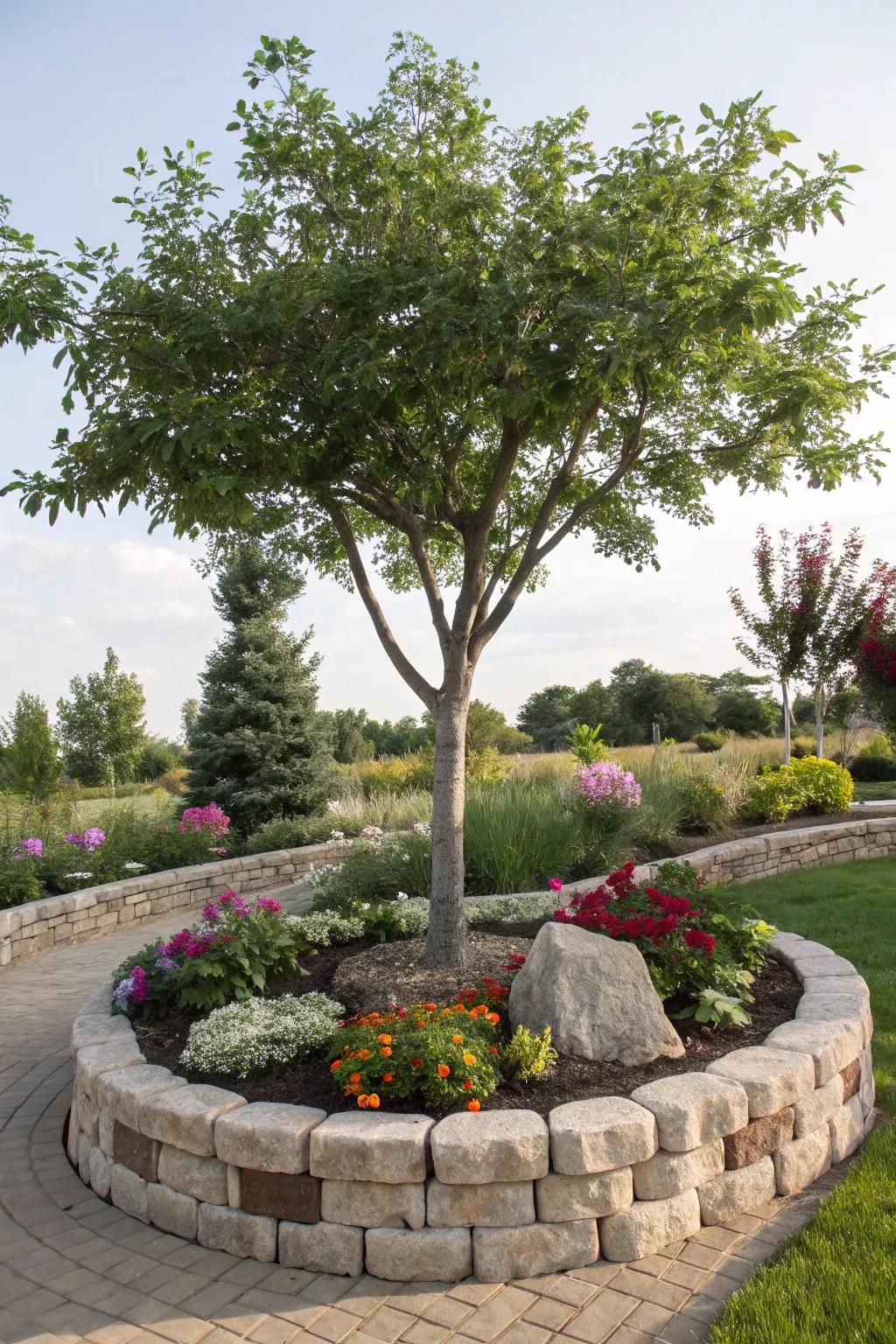 A tree surrounded by a decorative stone border.