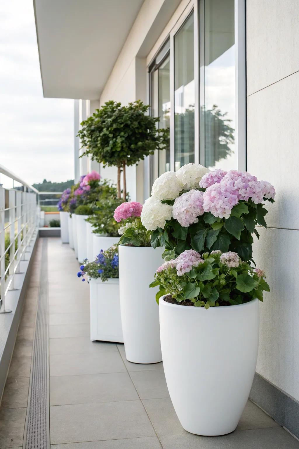 Sleek white pots showcasing hydrangeas on a minimalist balcony.