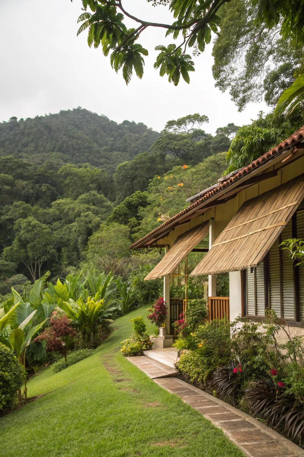 Bamboo awnings bring a touch of tropical paradise to any home.