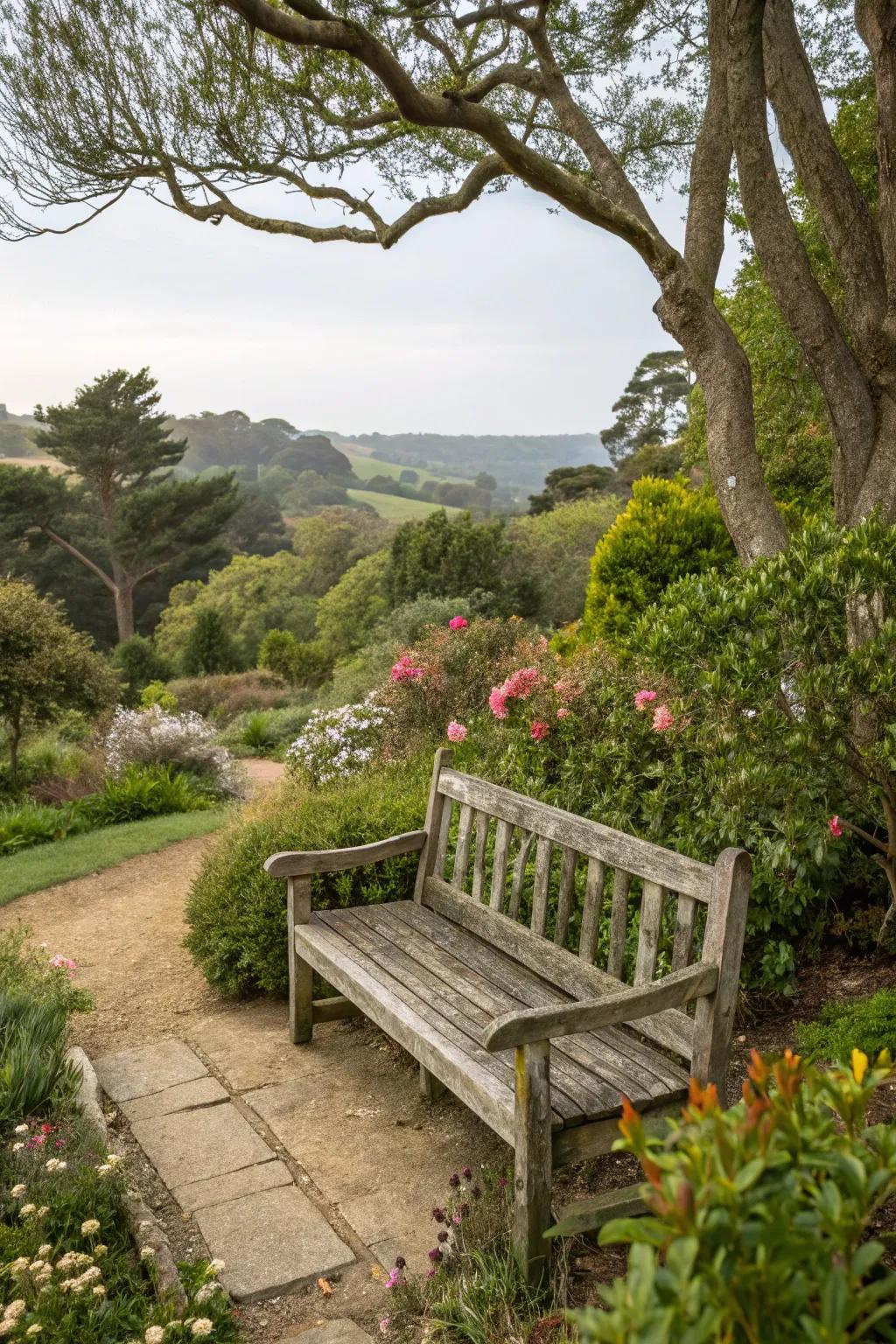 Rustic bench providing a peaceful spot to enjoy nature.