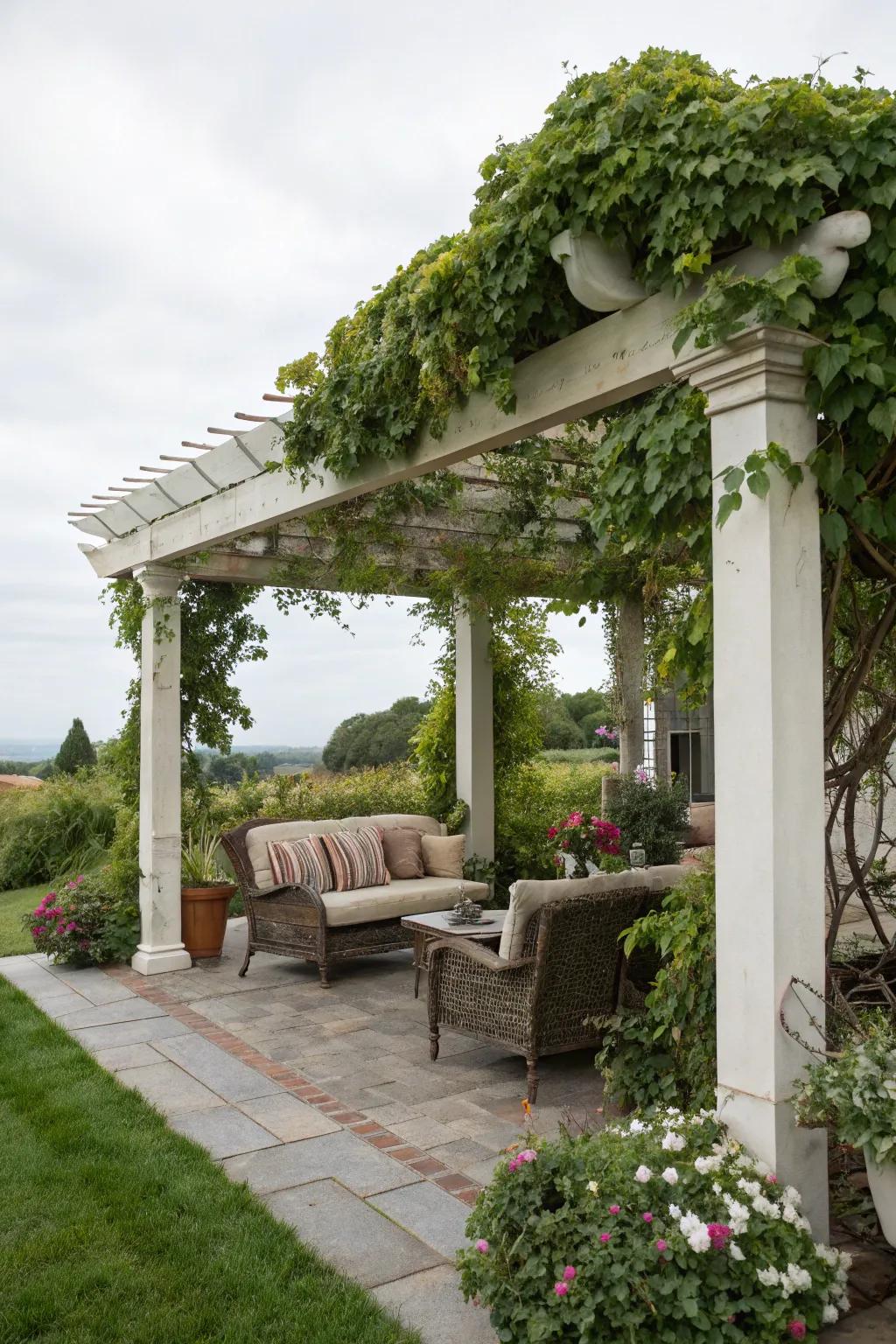 Create a pergola paradise with climbing vines and cozy seating.