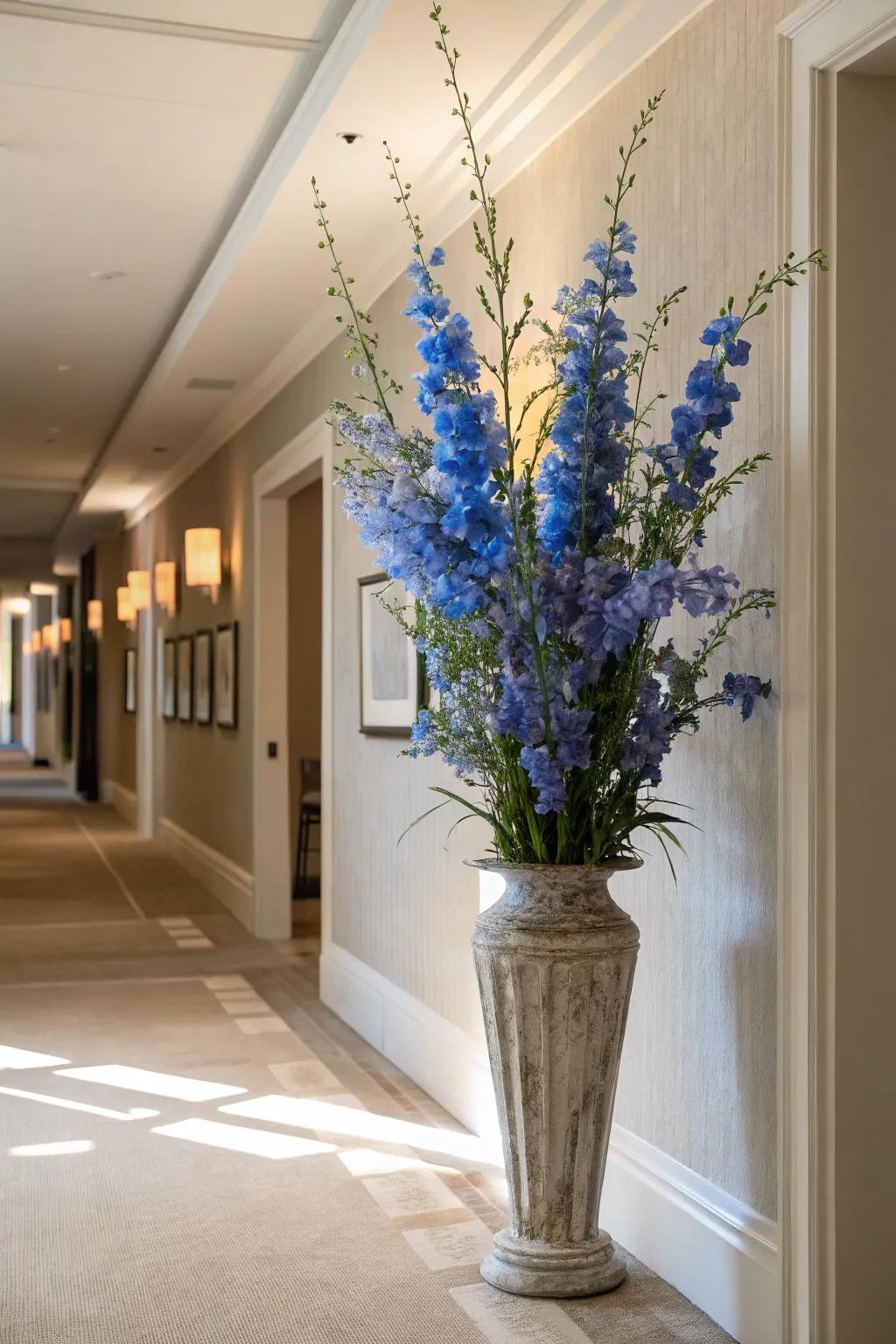 Tall stems of delphiniums adding elegance to a hallway.