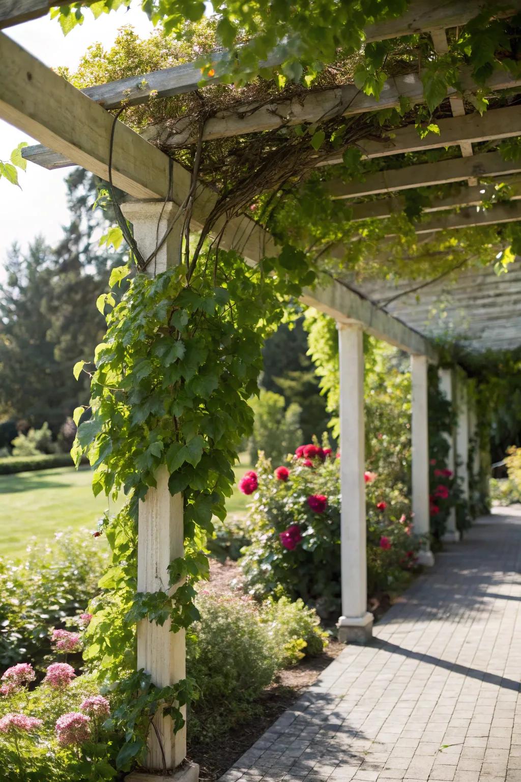 Natural greenery enhances the pergola's connection to the garden.