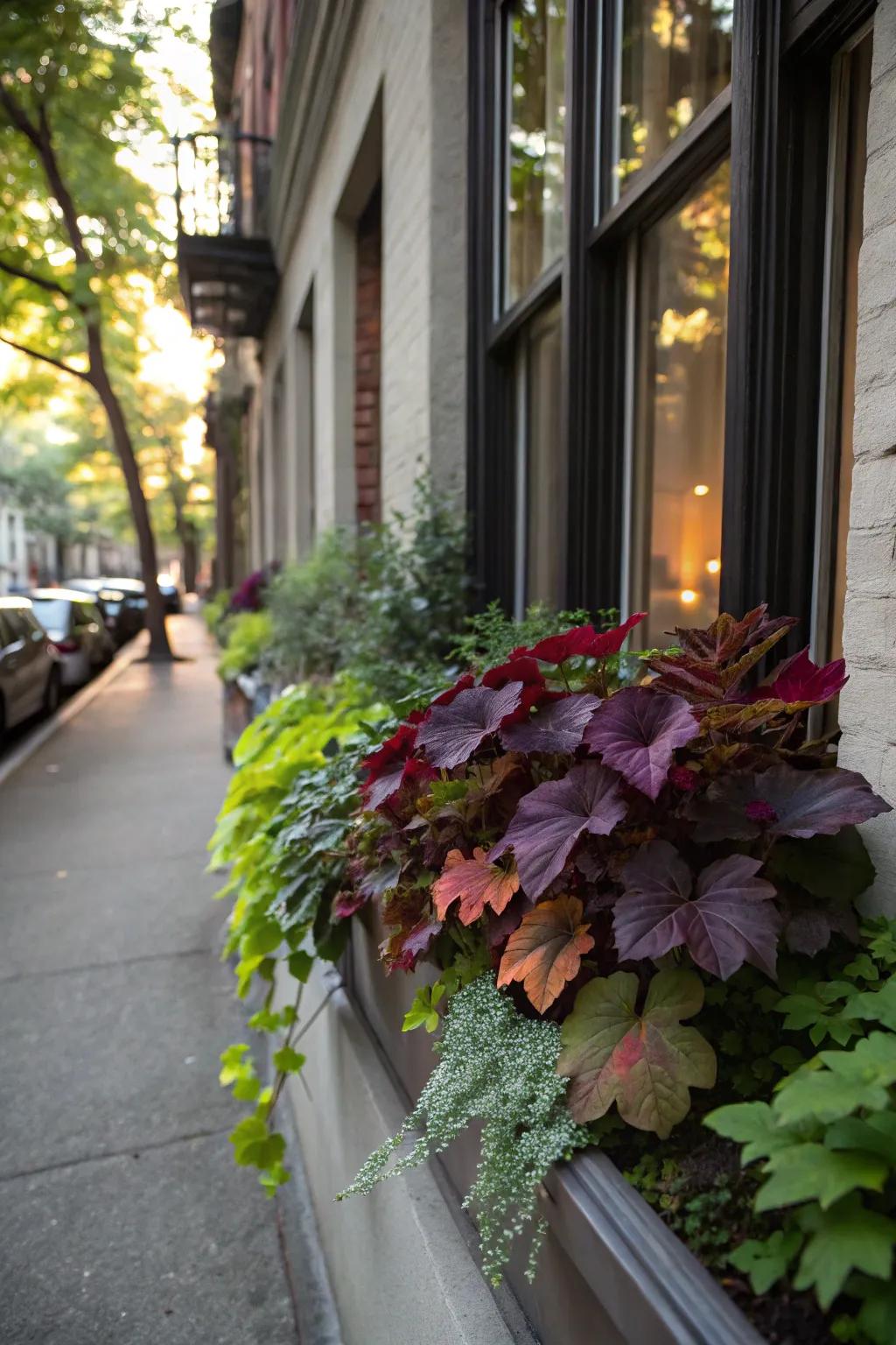 Heuchera's rich foliage adds depth and texture to any display.