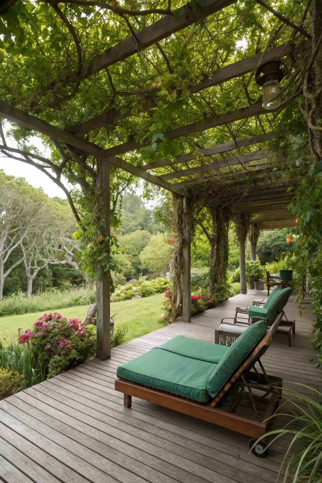 A natural canopy of greenery offers shade and a refreshing, organic touch.