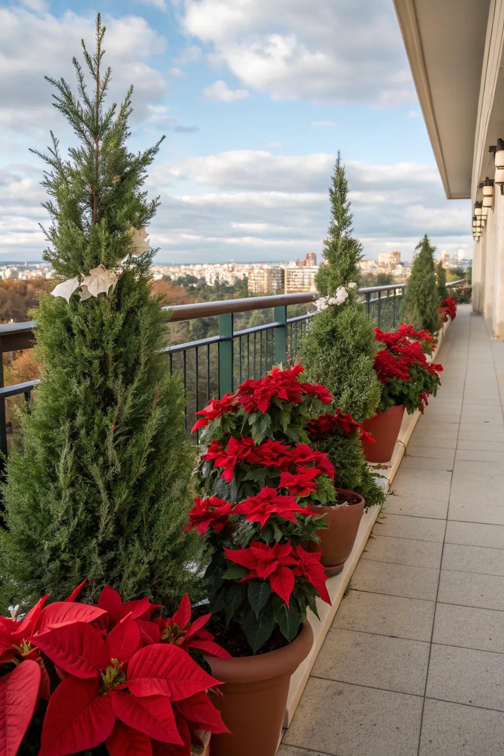 Poinsettias bring vibrant holiday color to this balcony.