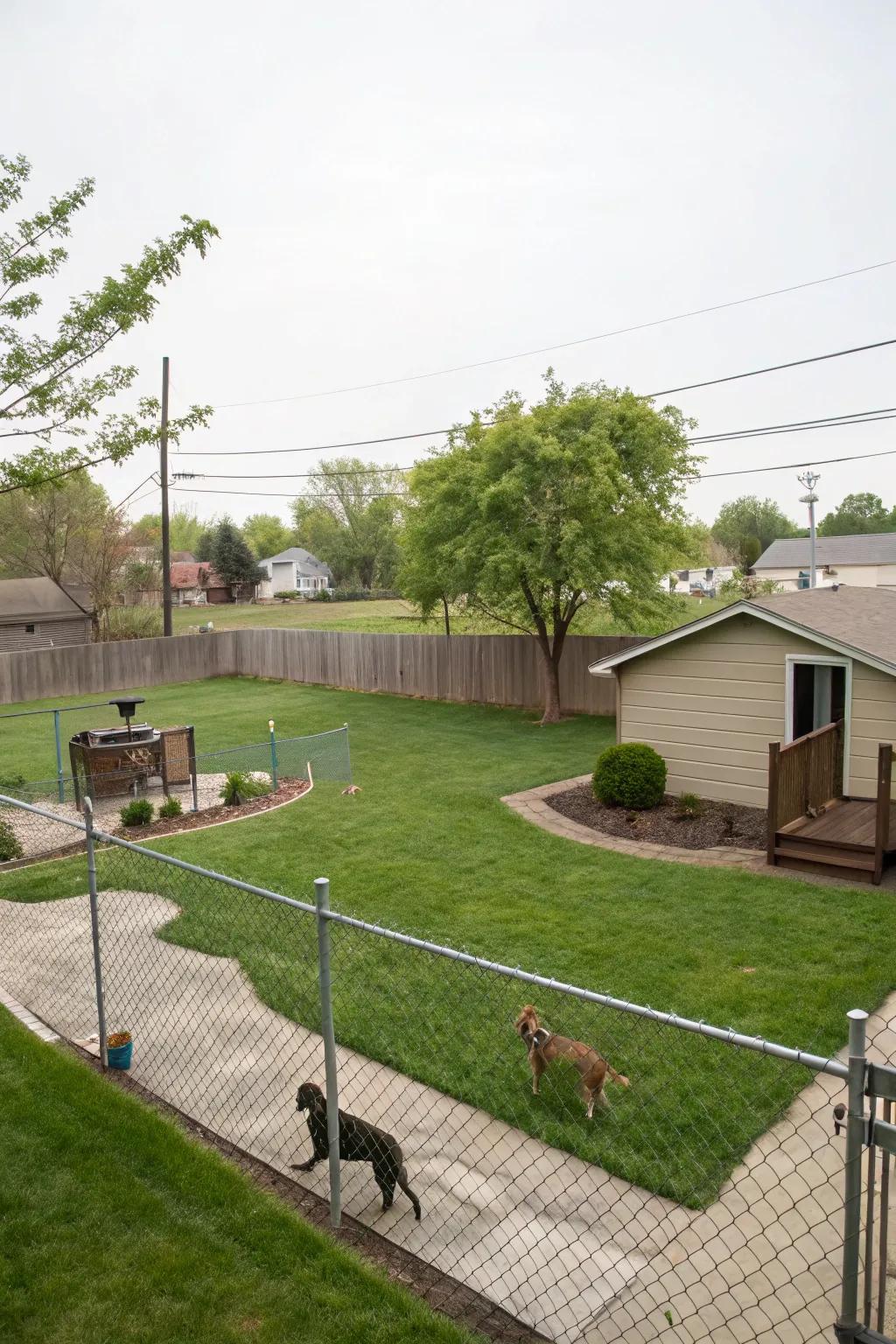 An open space design allowing dogs the freedom to explore safely.