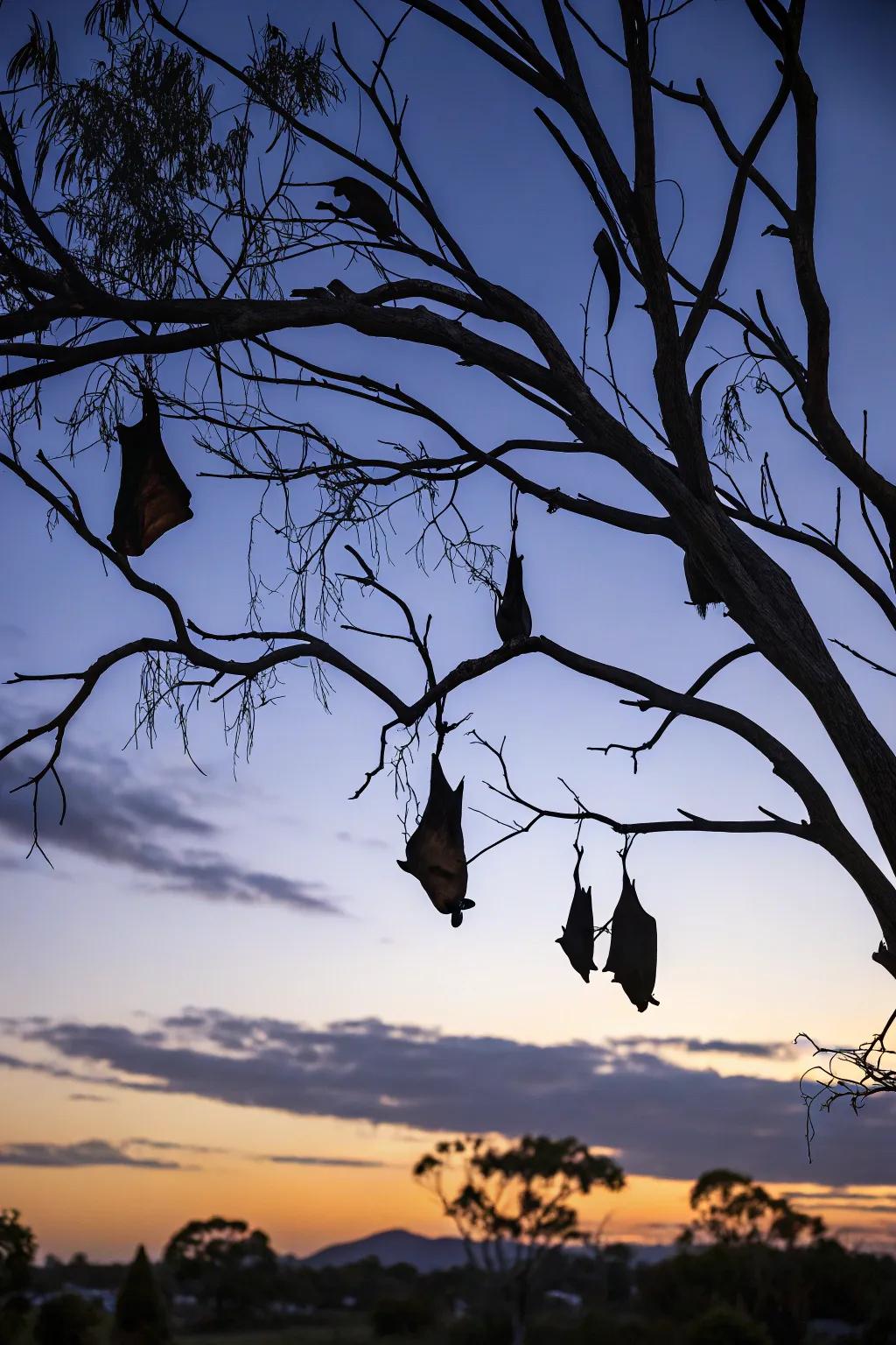 Bats adding a flutter of fright to the Halloween night.