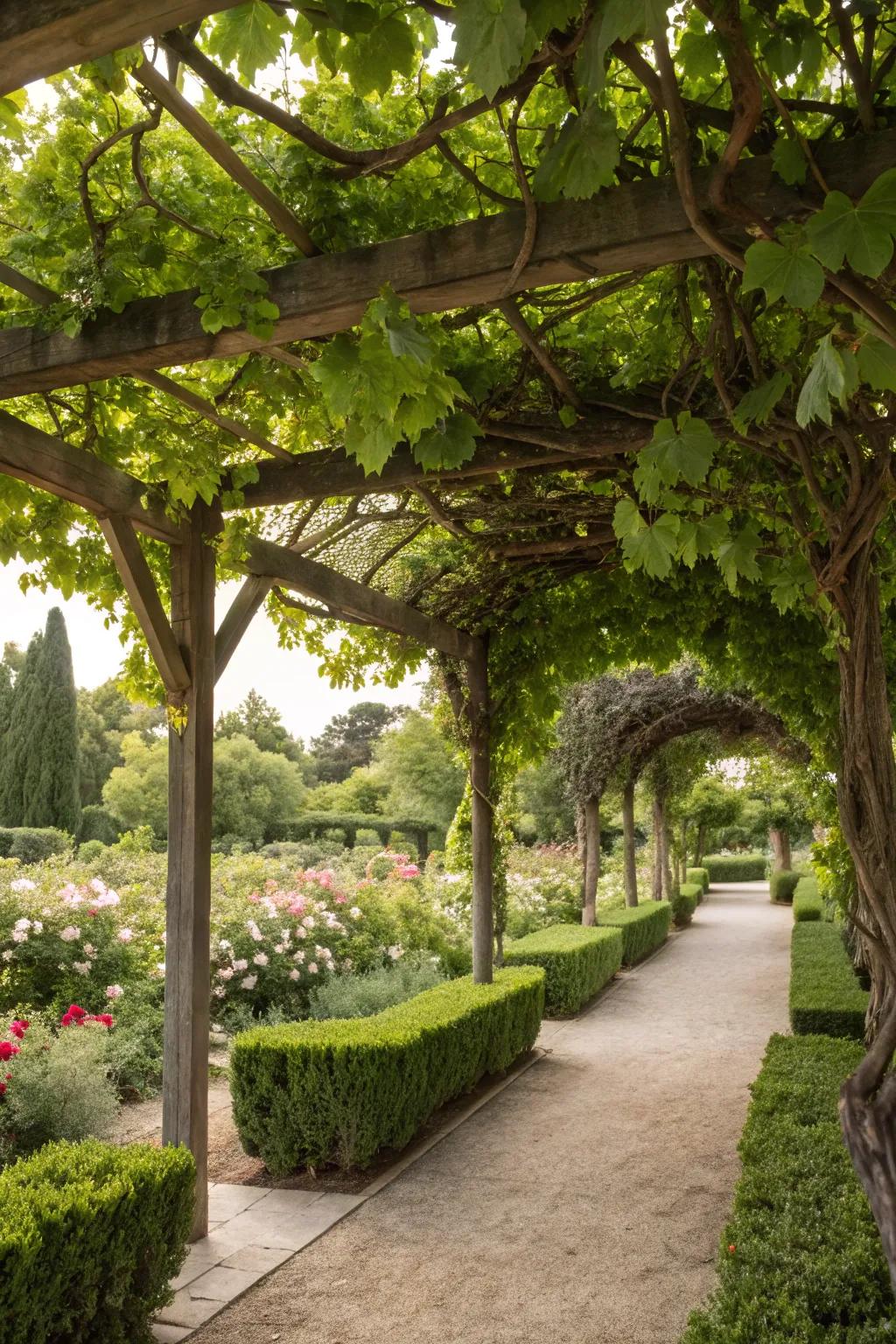 A living canopy offers a serene retreat beneath lush greenery.