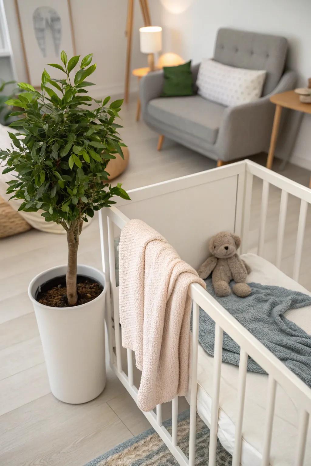 A touch of greenery can invigorate your baby corner, adding natural beauty and calm.