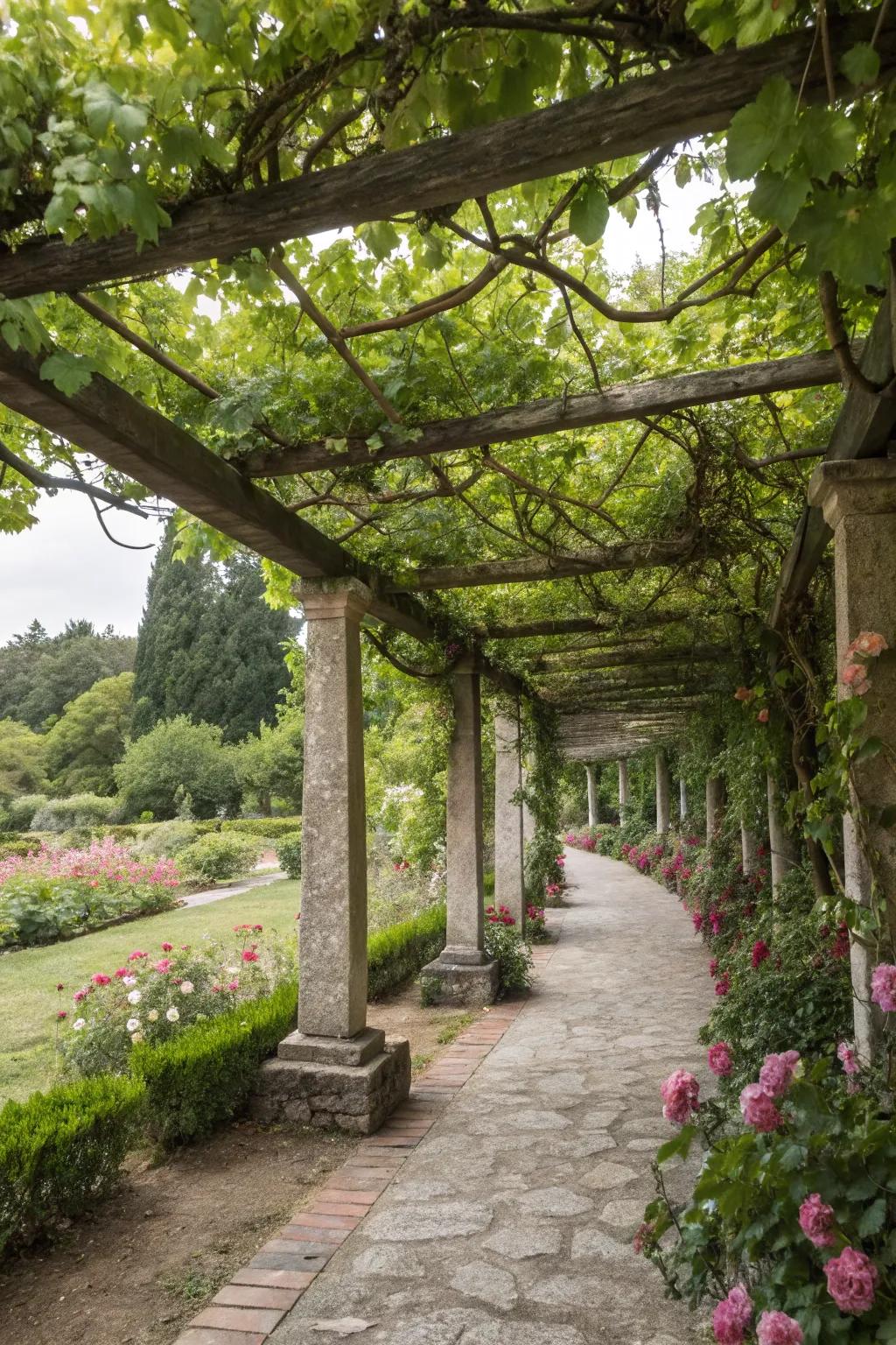 A pergola trellis offers both shade and a stunning garden feature.