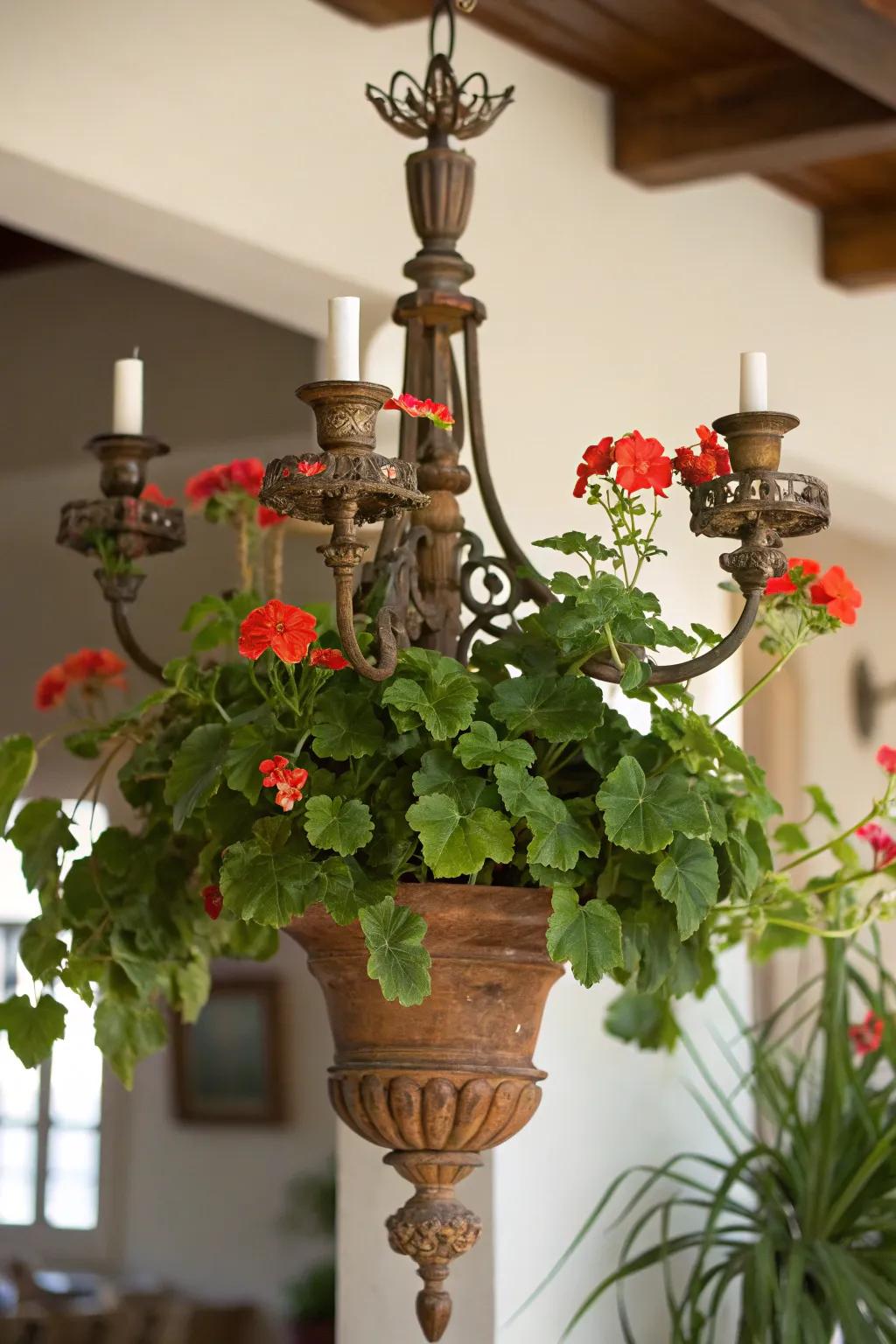 Elegance meets creativity in this candelabra planter.