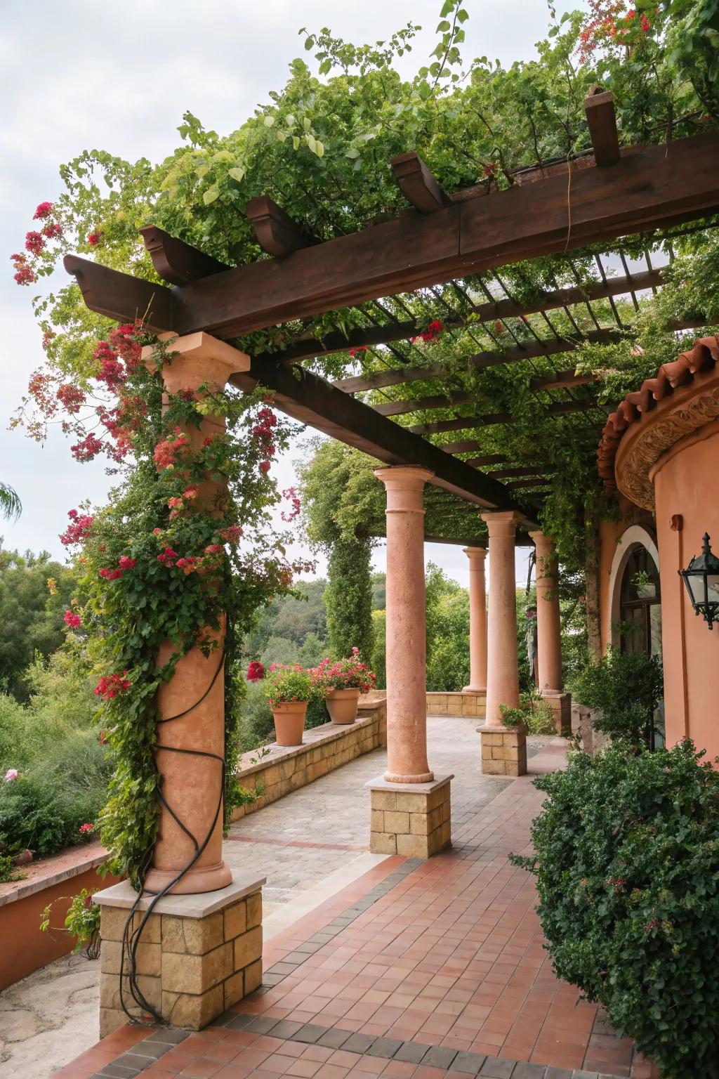 A Mediterranean-inspired arbor with vibrant foliage and warm accents.