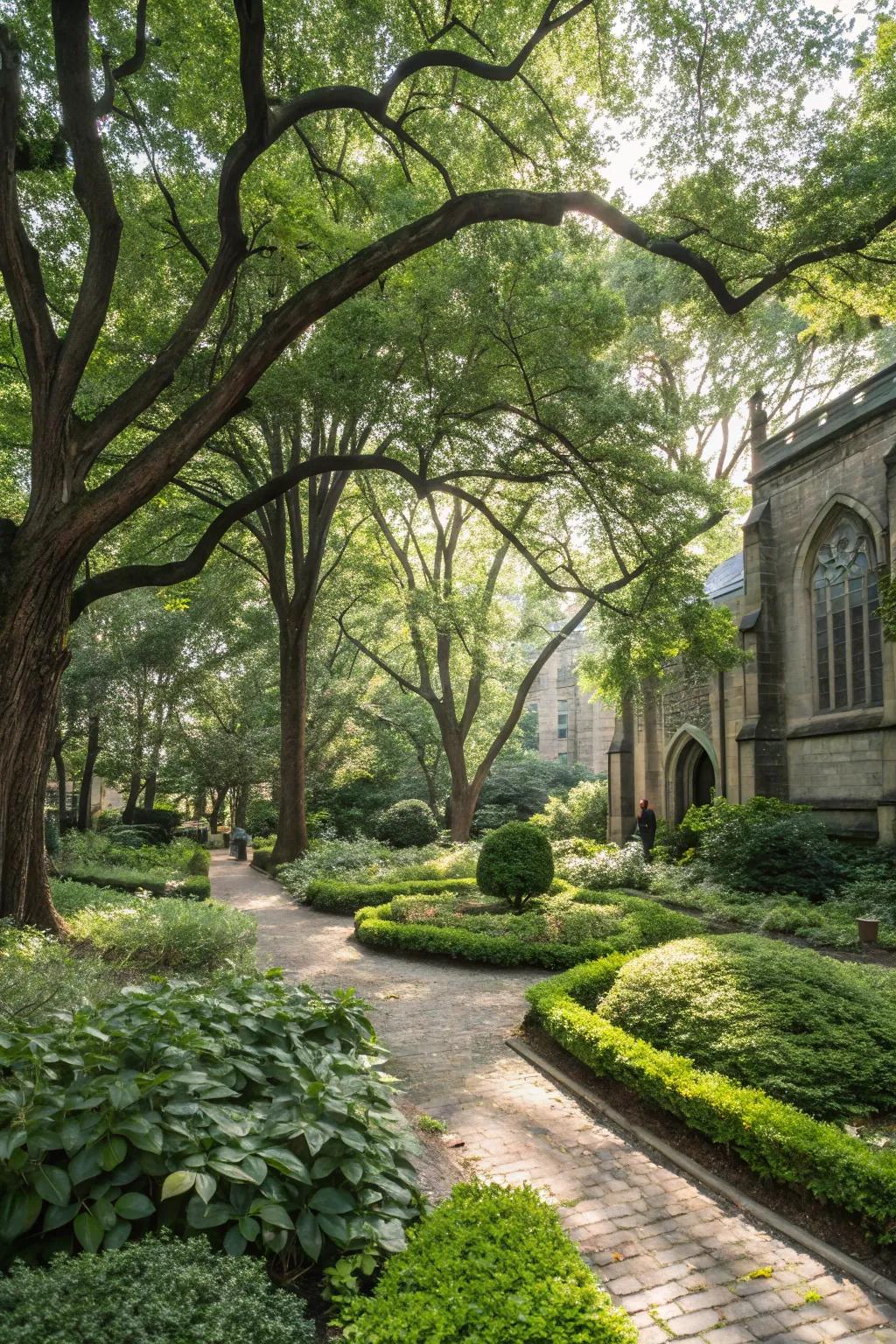 Trees and shrubs offer shade and create a sense of enclosure.