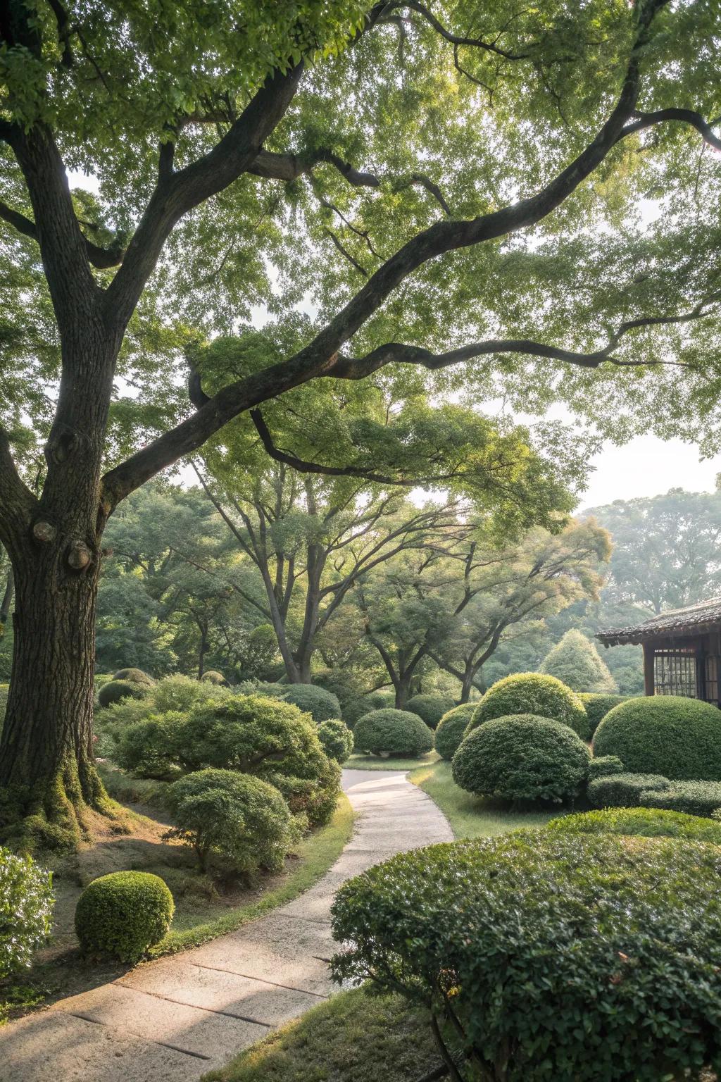 Trees and shrubs add structure and serenity.