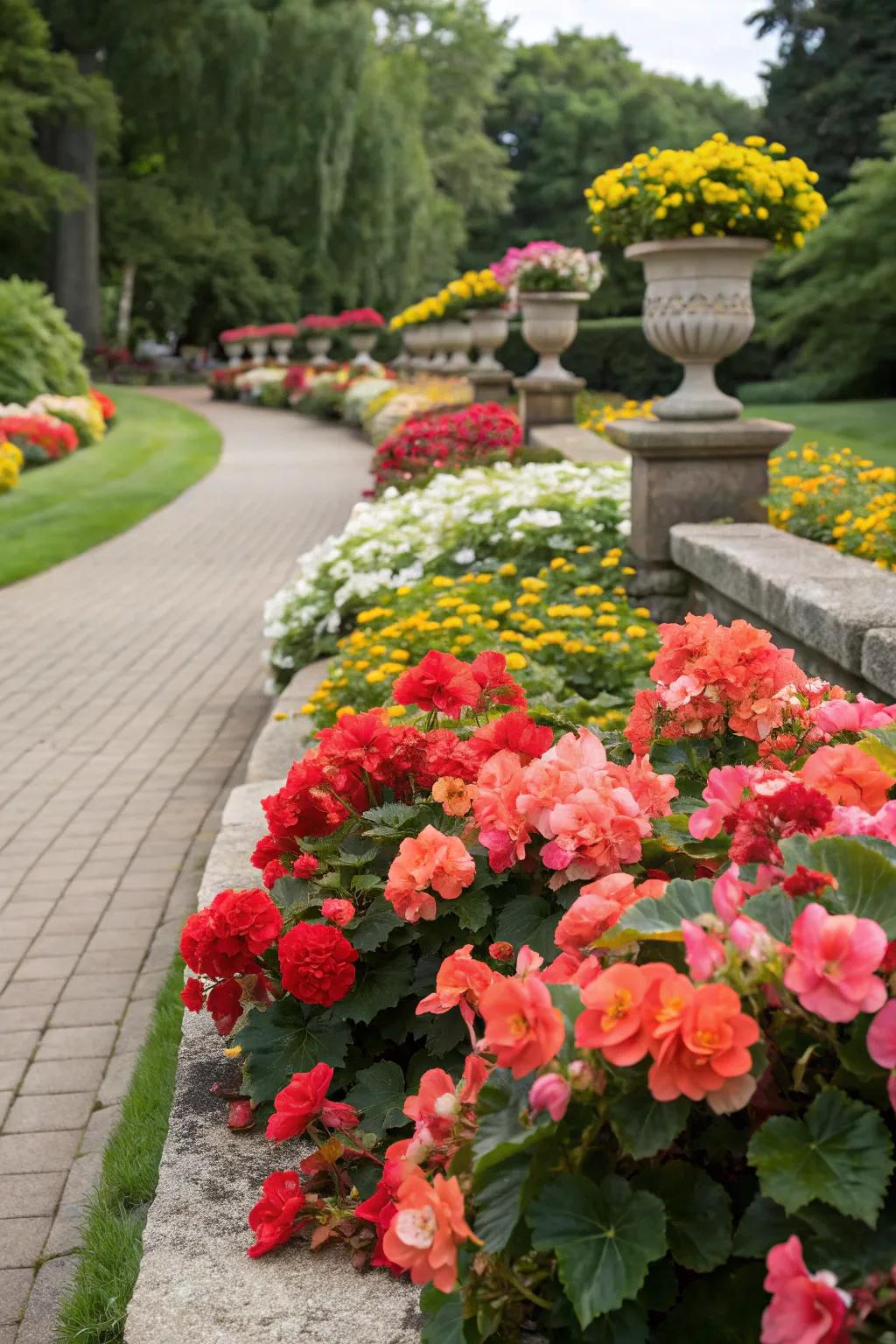 Seasonal begonia displays ensure year-round garden interest.