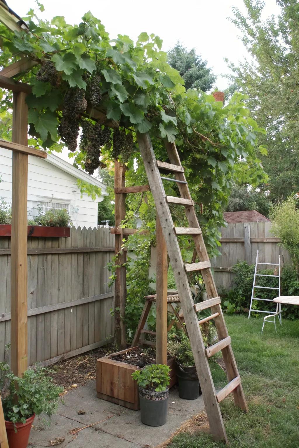 Recycled materials can create unique and eco-friendly trellis designs.